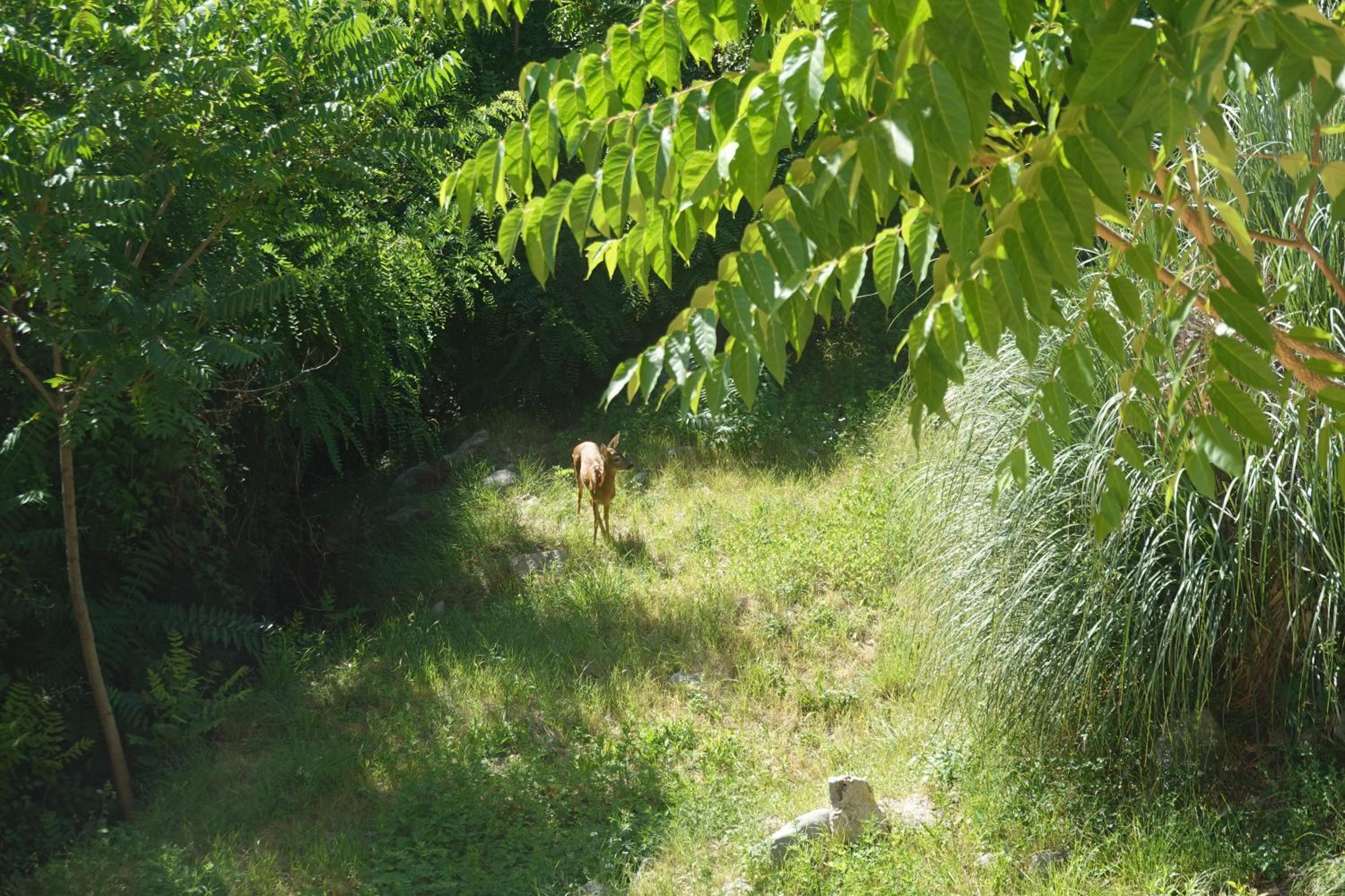 Photo 21