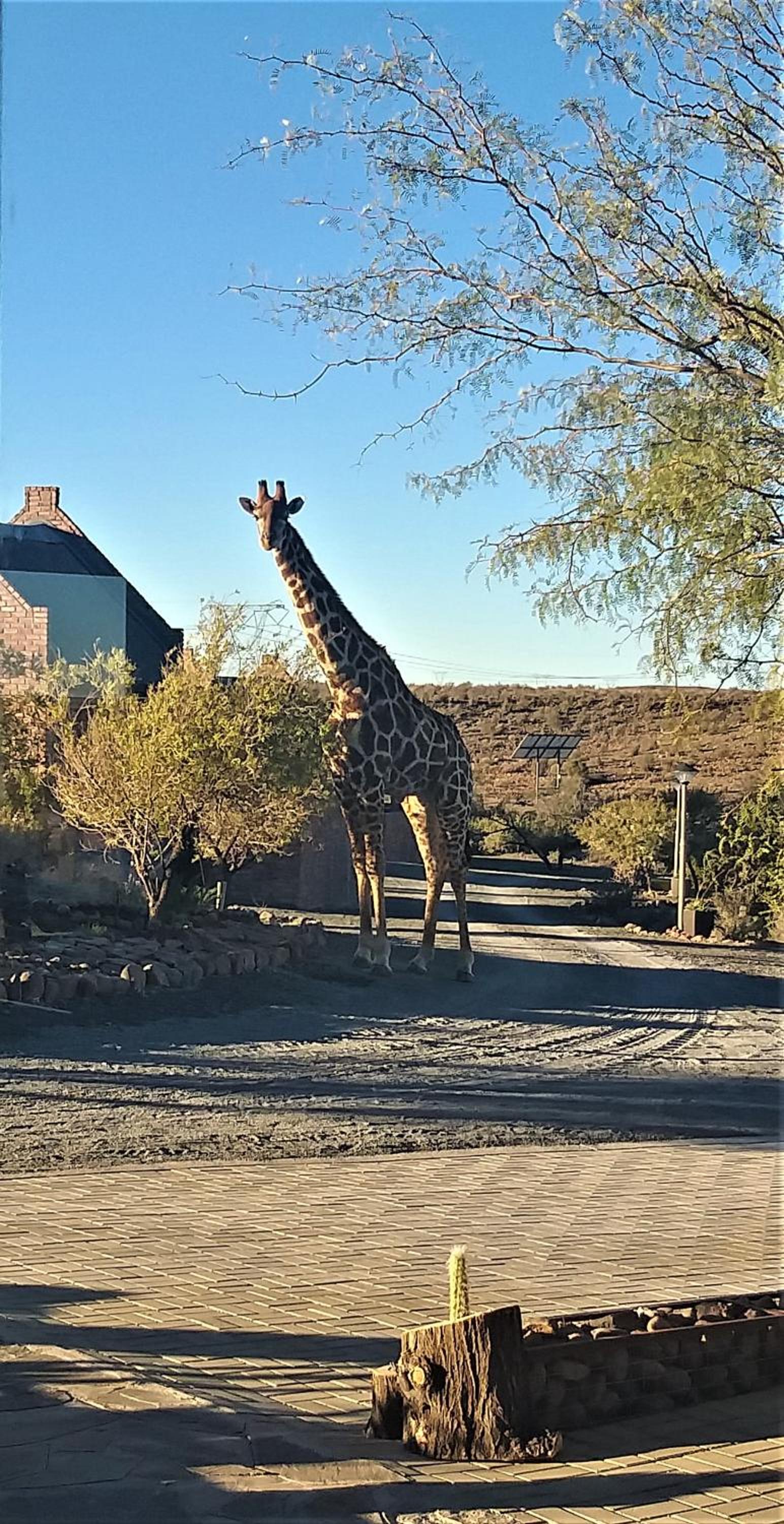 Teri-Lemveli Lodge