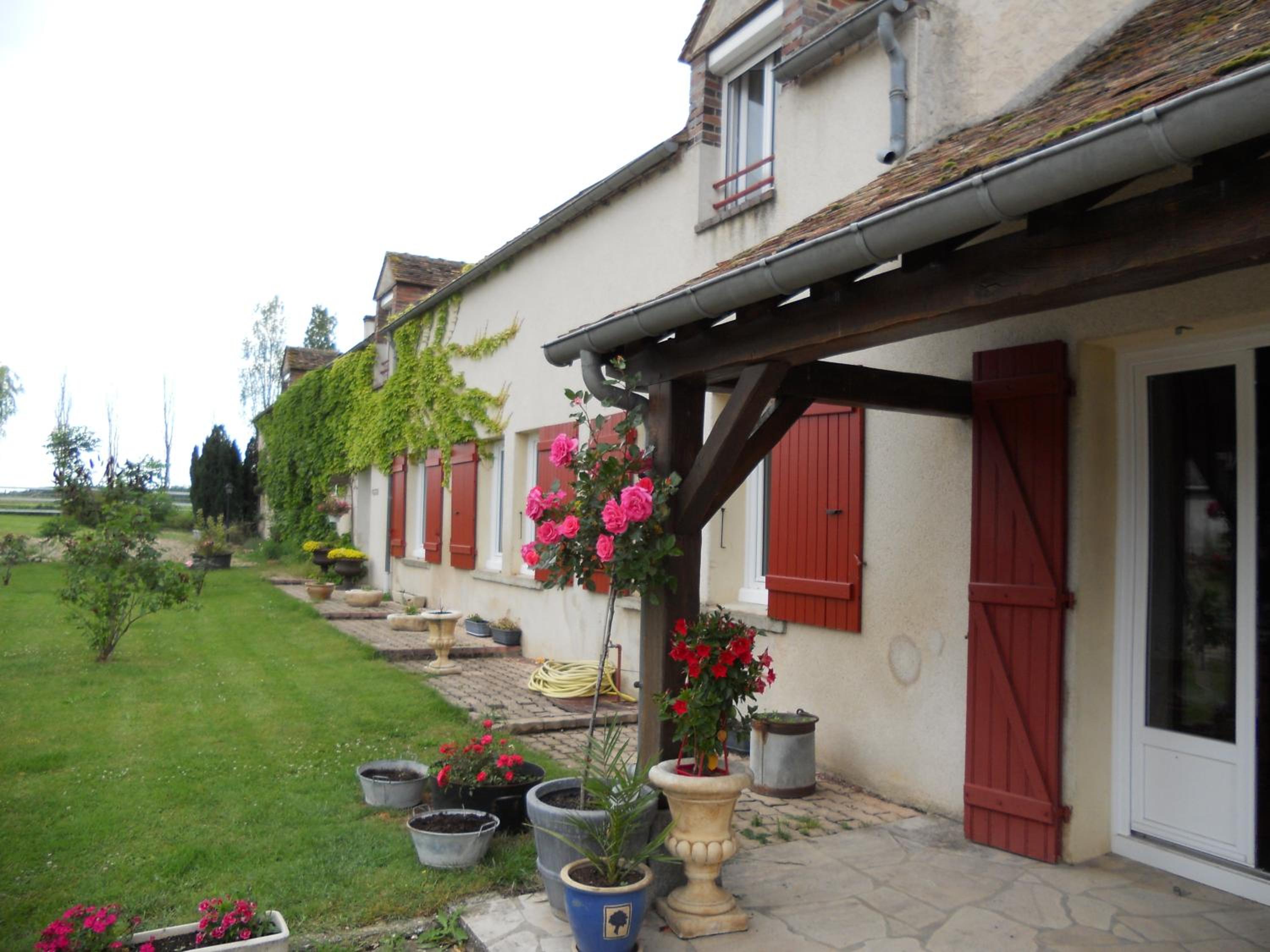 Photo 44