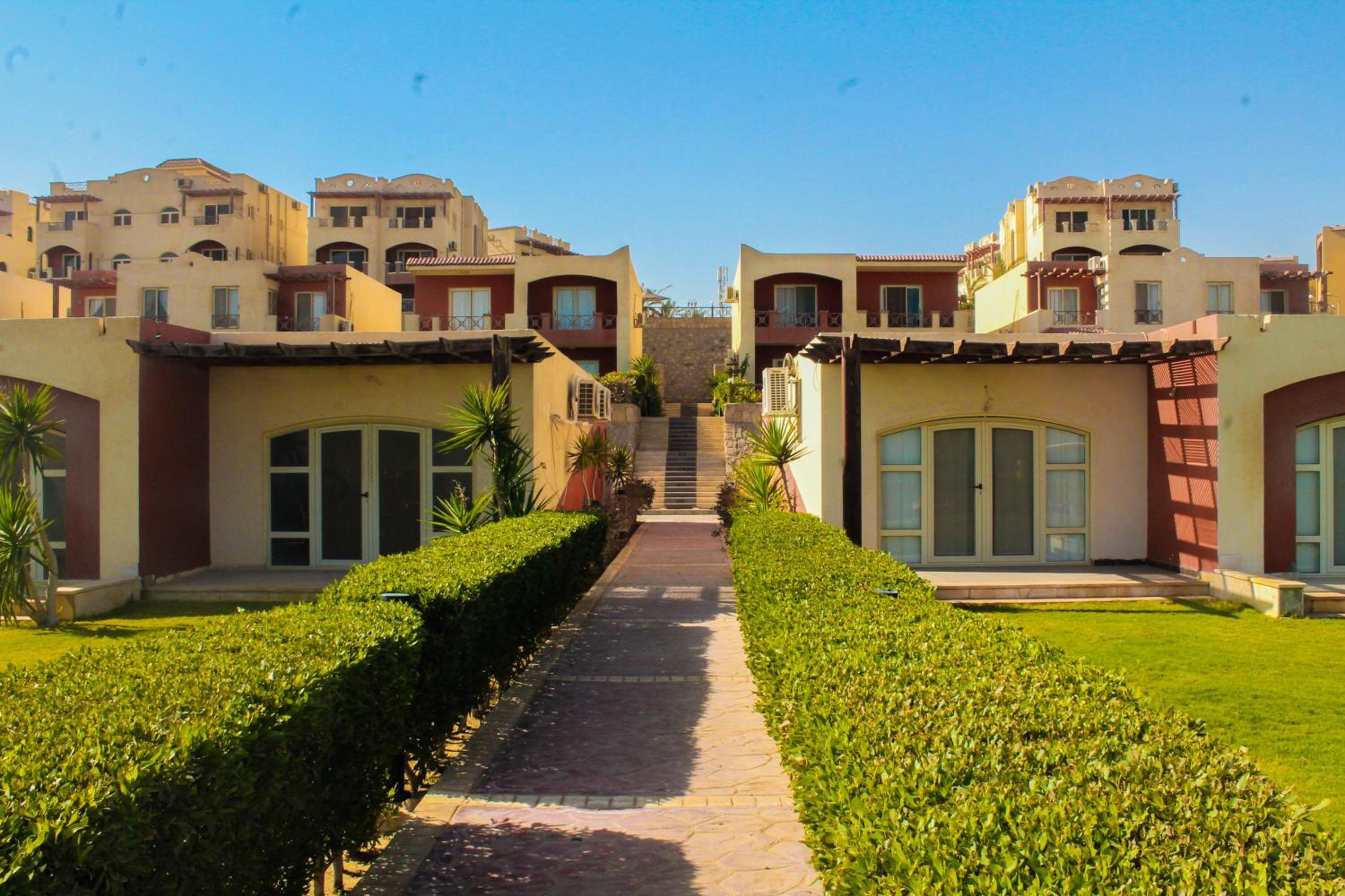 Photo 110