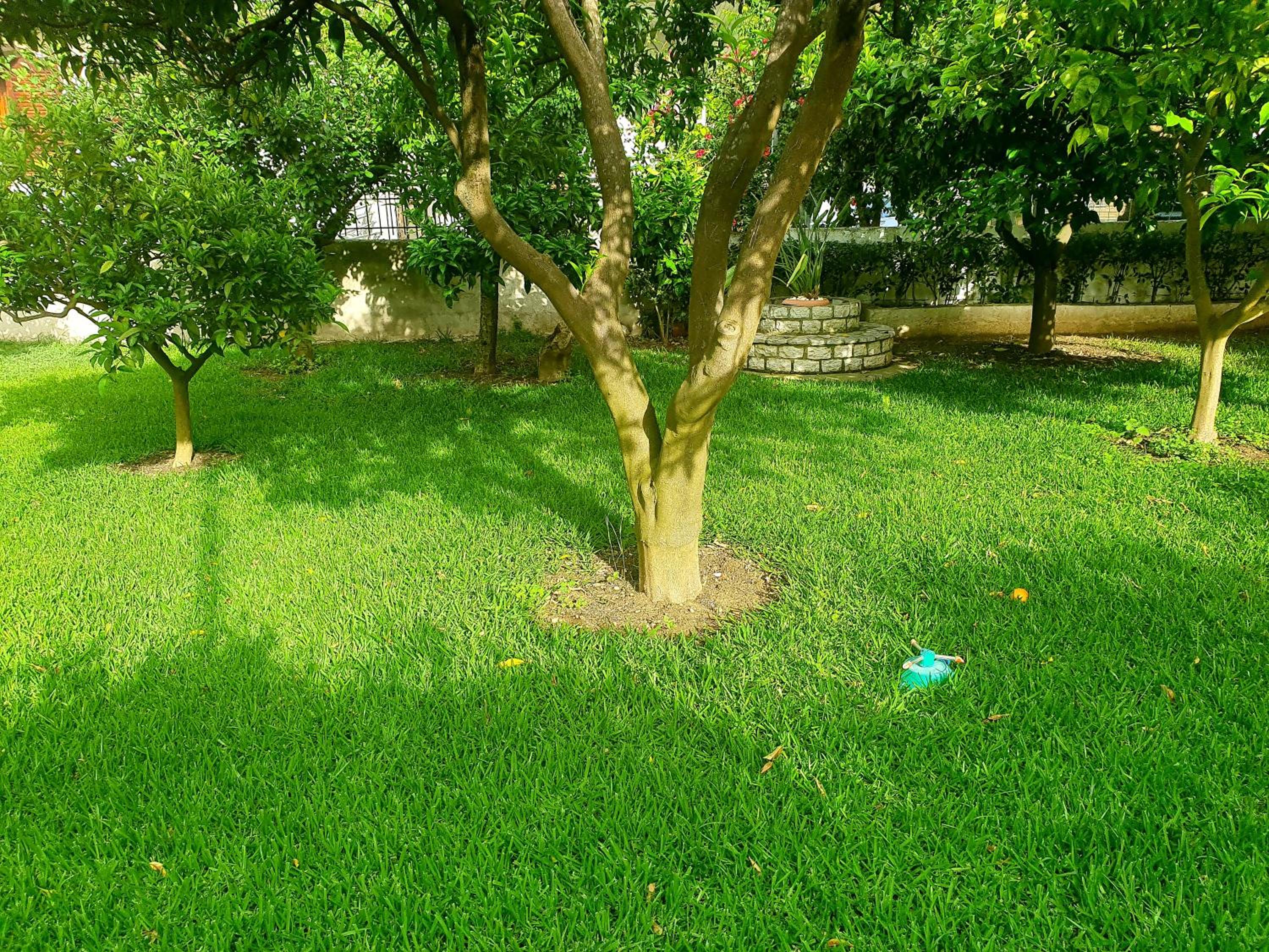 Daglas Summer House view 2