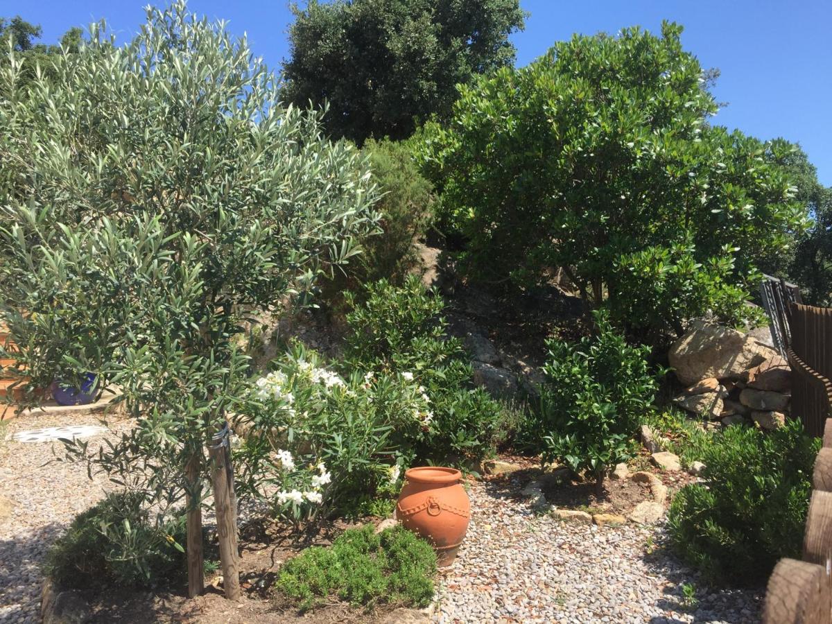 Villa Gardenia mit Pool und traumhaftem Meerblick — photo 4