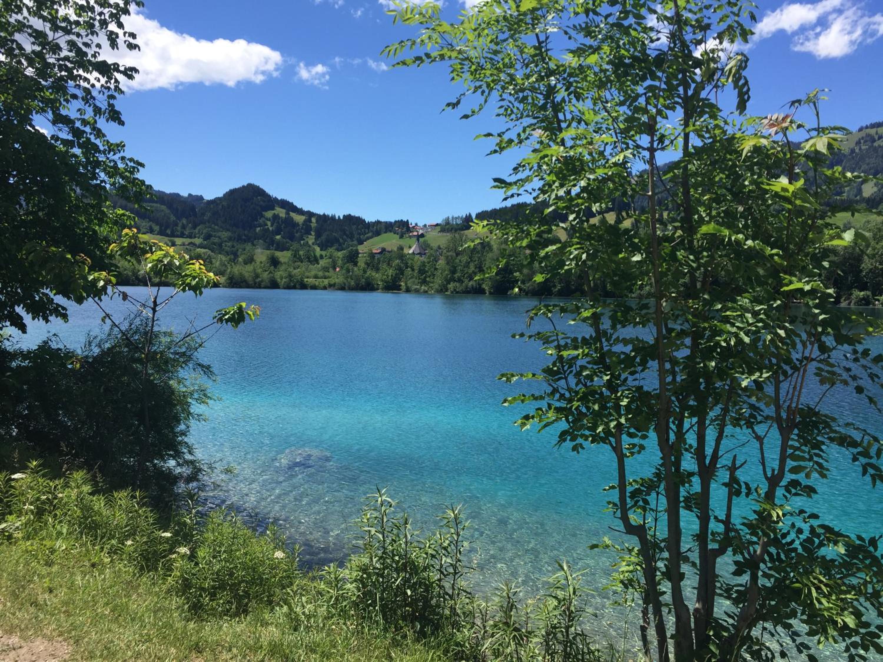 Bergblick Lodge view 5