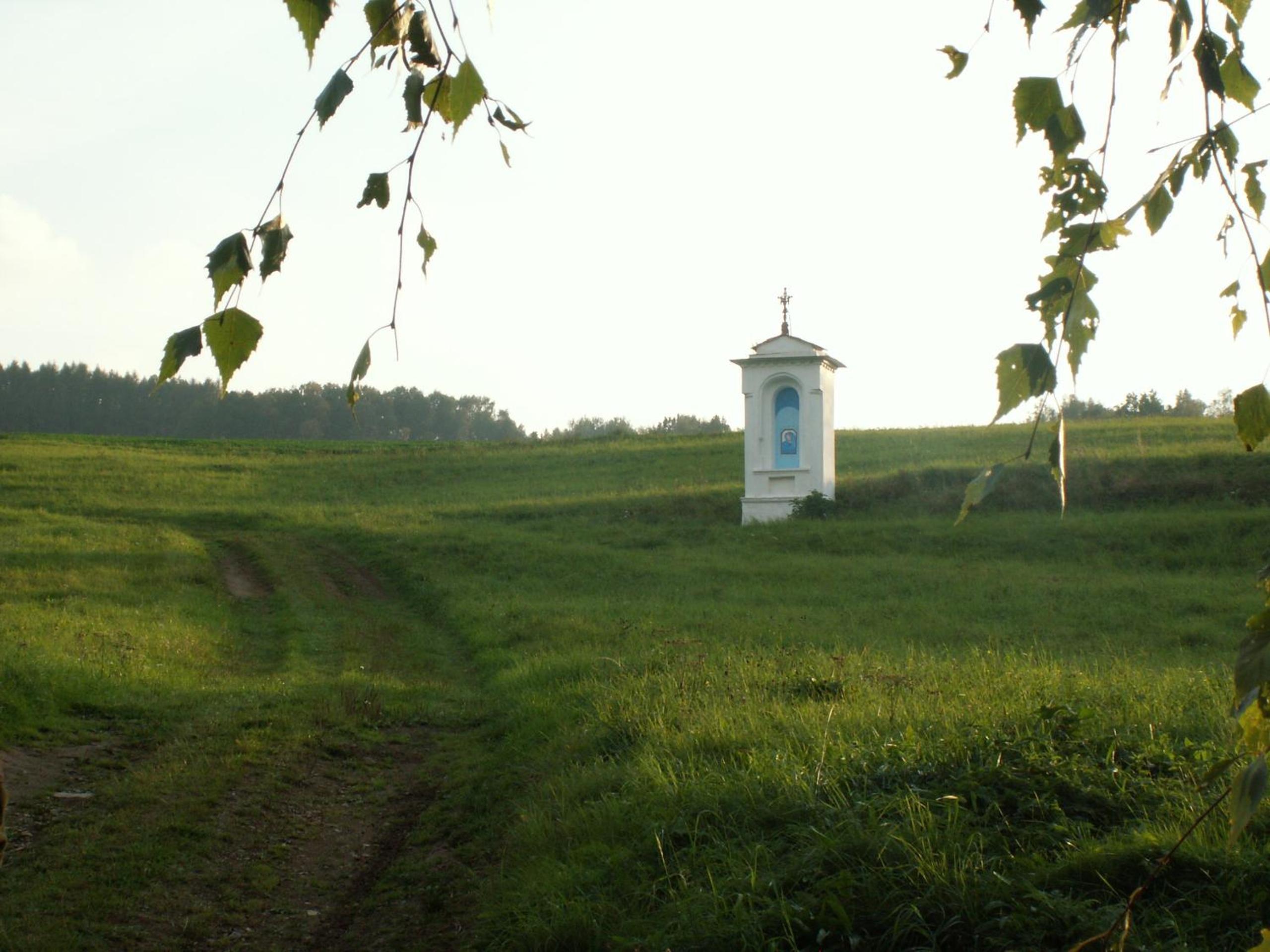 Statek Salajna