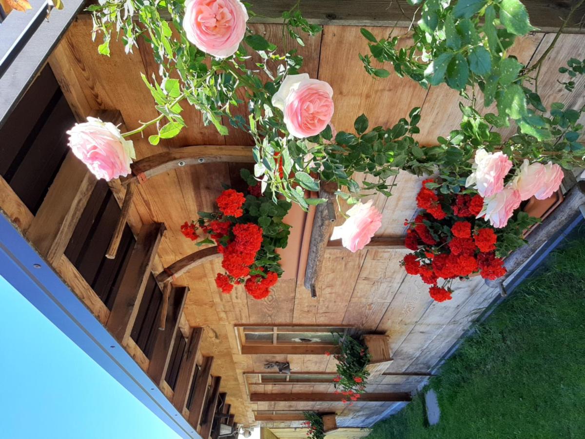Appartamento per vacanze "IL GELSO" view 4