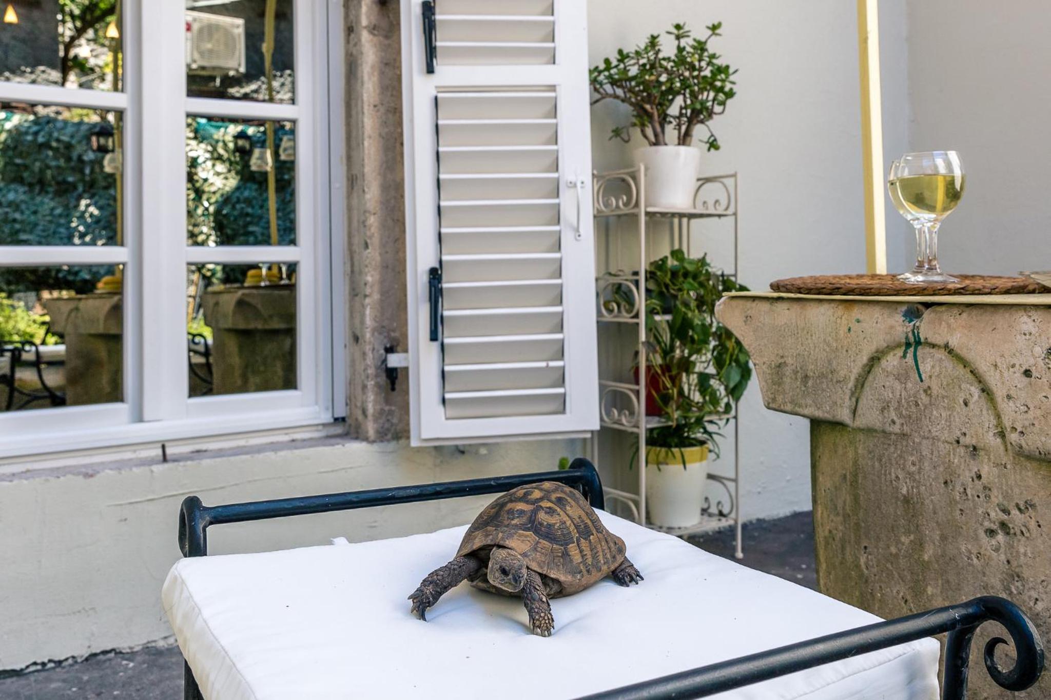 Perfetto Perasto Residence