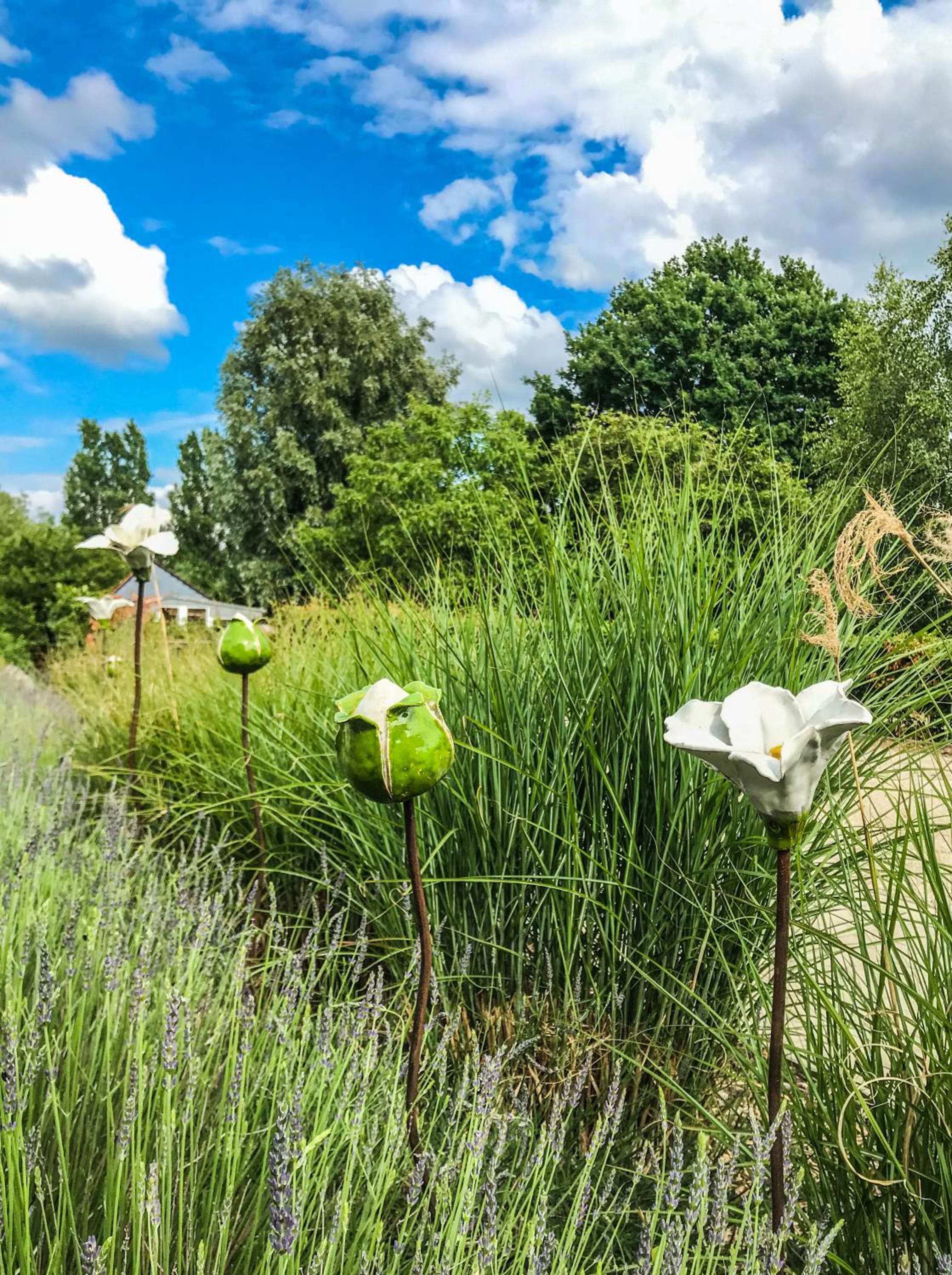 Vakantieverblijf Alfzotmolen