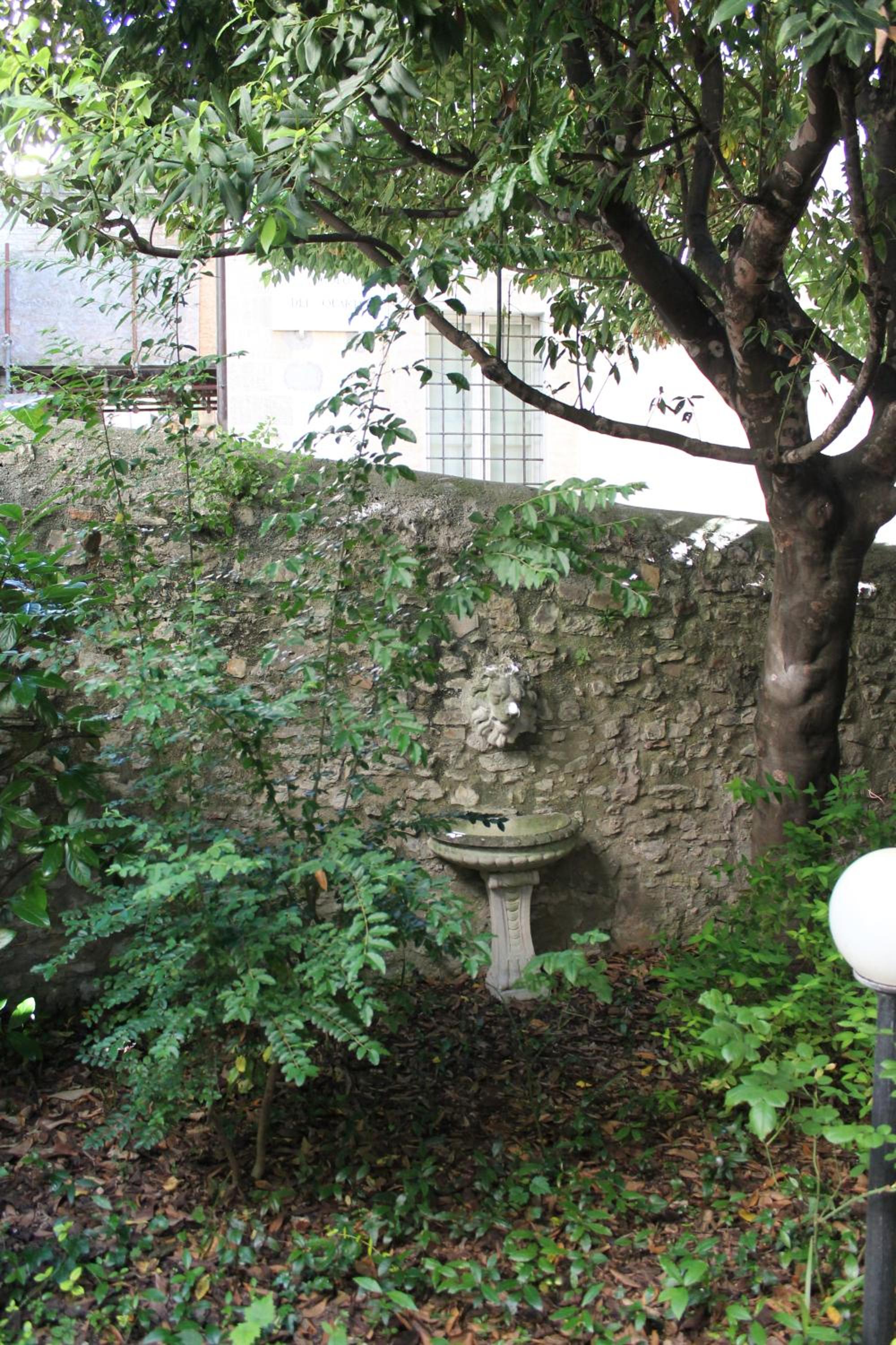 Ospitalità Collicola view 3