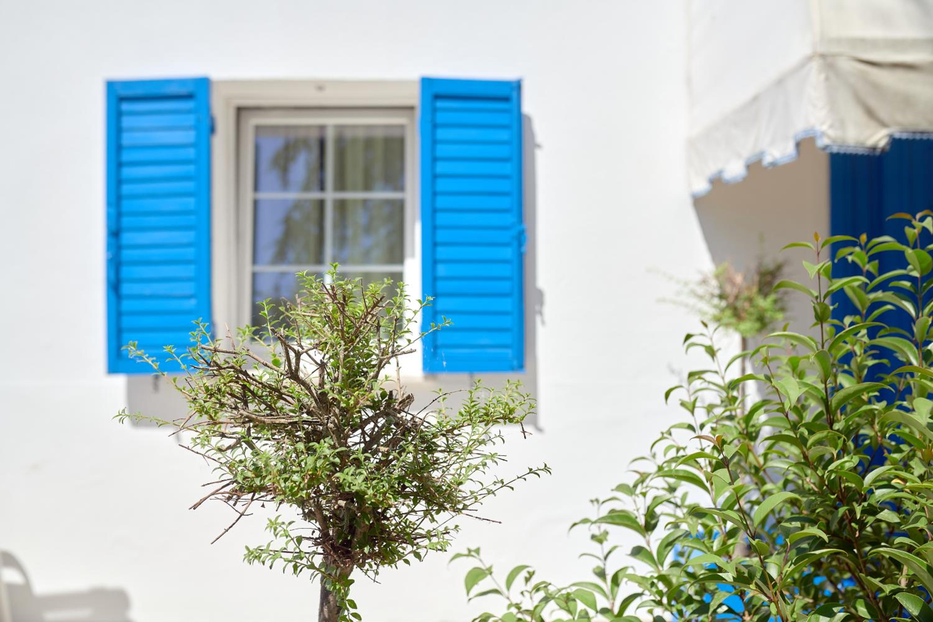 Cà del Mar rustico a Jesolo con giardino e piscina privati ad uso esclusivo # view 5