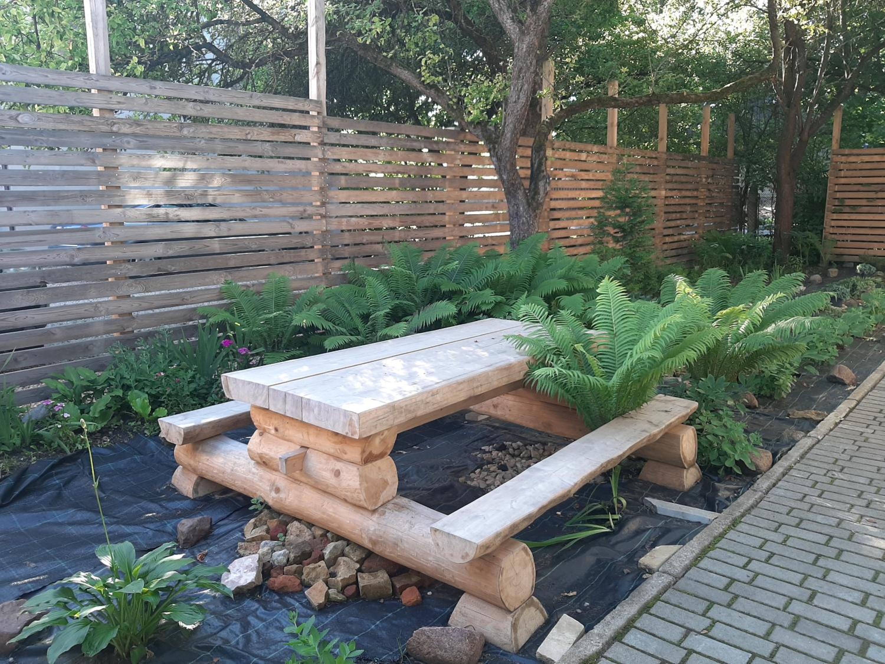 Photo 6