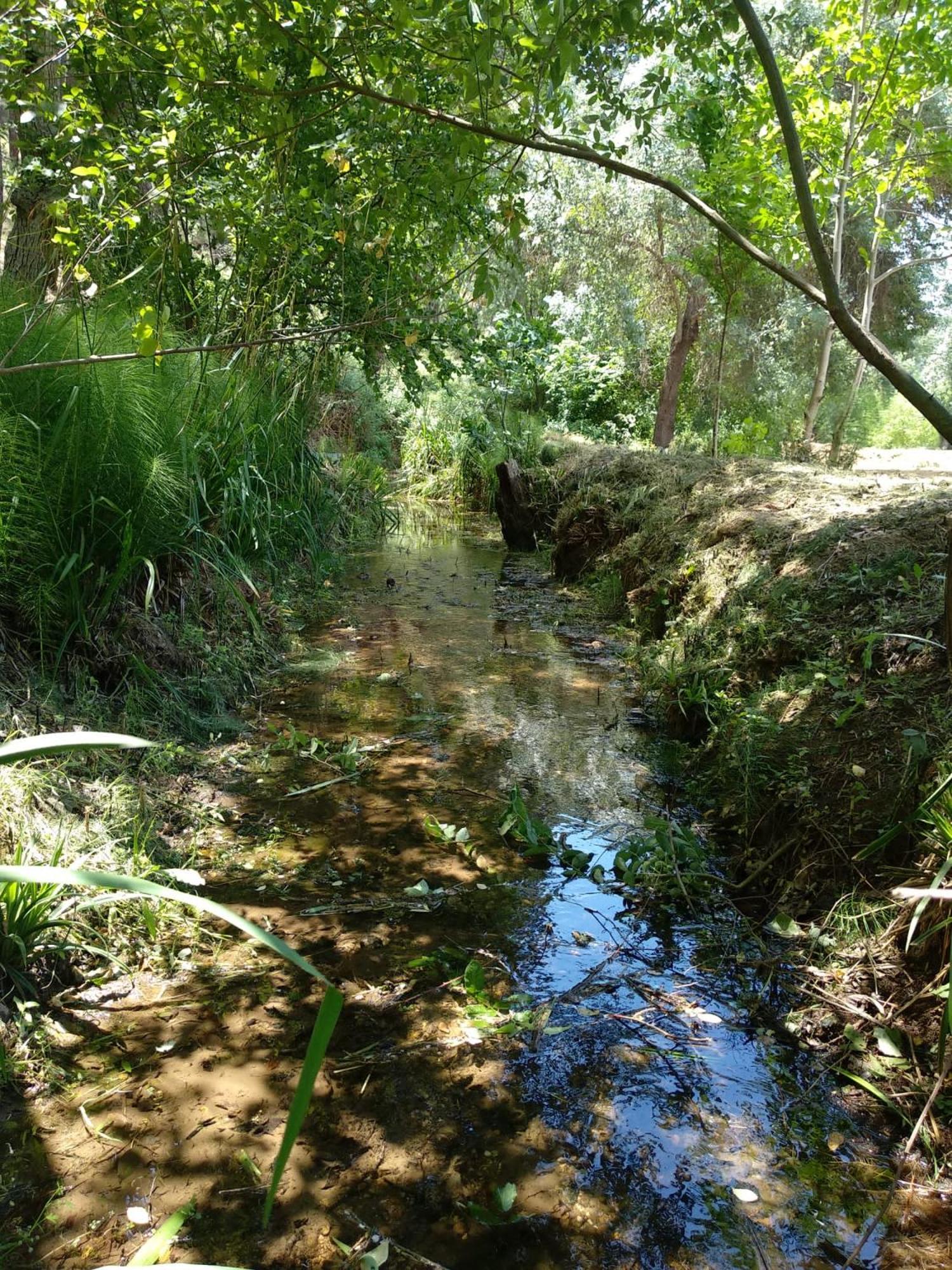 Photo 23