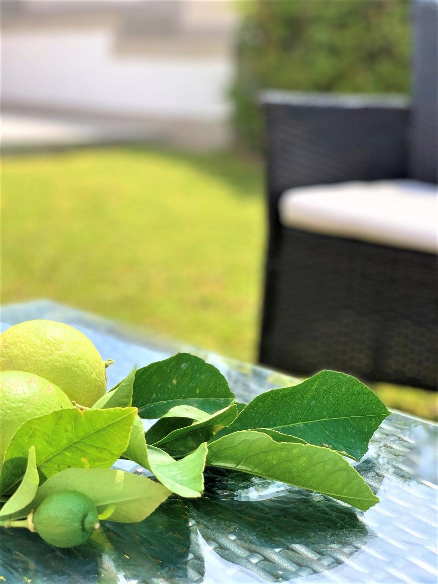 B&B Villa Matari