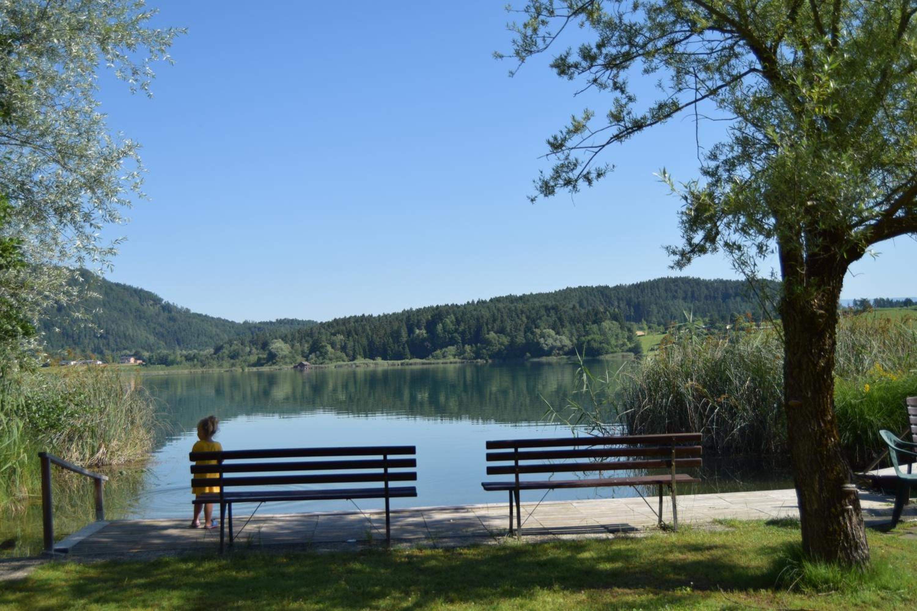 Ferienwohnungen Wutte Josefine view 4