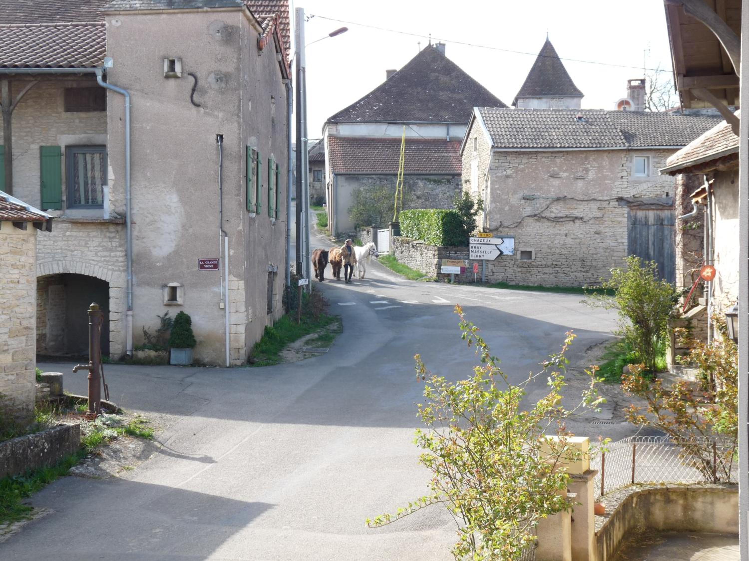 La Maison des Lys view 3