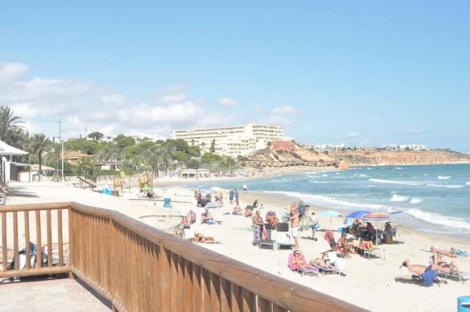 Apartament Jardin De Alba in Villamartin view 5