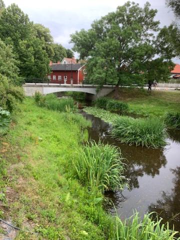 Gårdshuset view 4