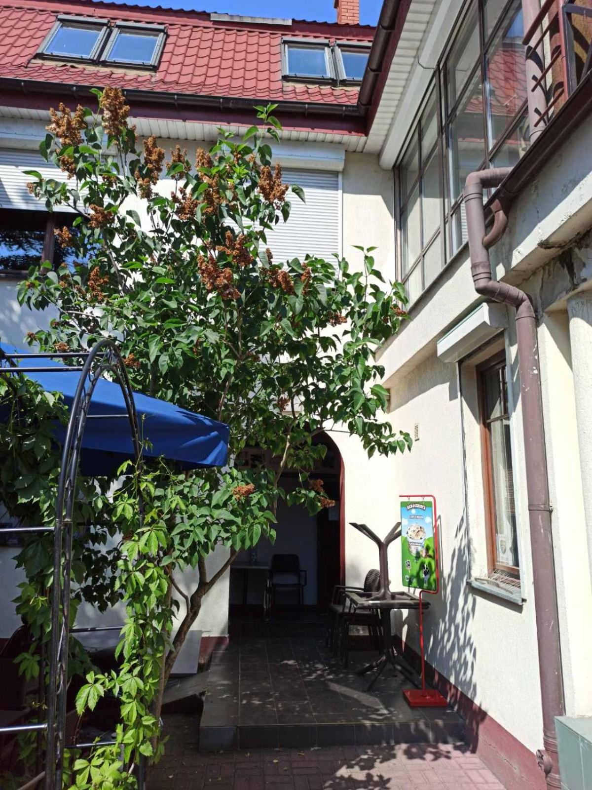 Hostel Galaxy, photo 44