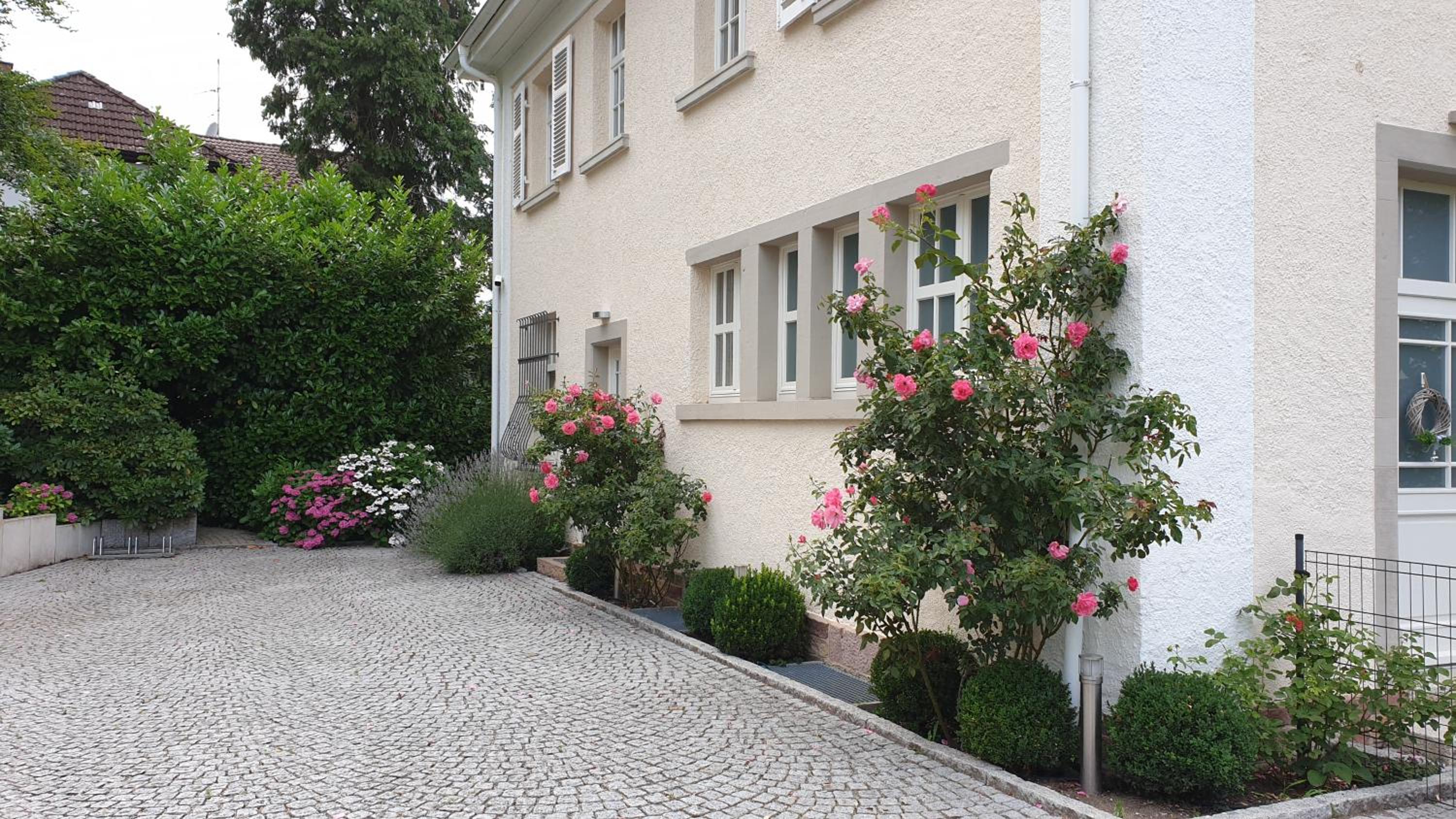 Photo 38