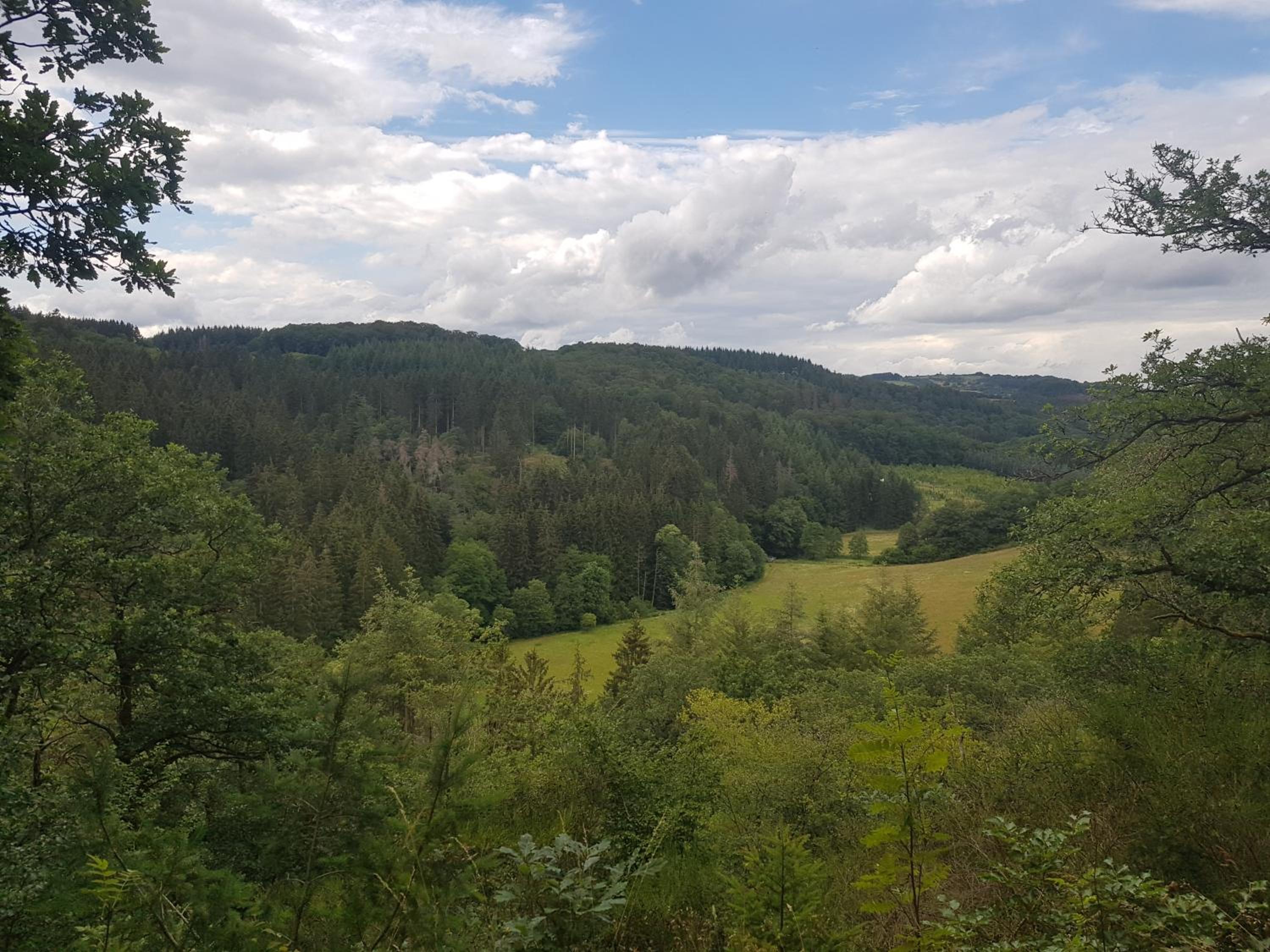 Altes Schreiner Haus in der Vulkaneifel