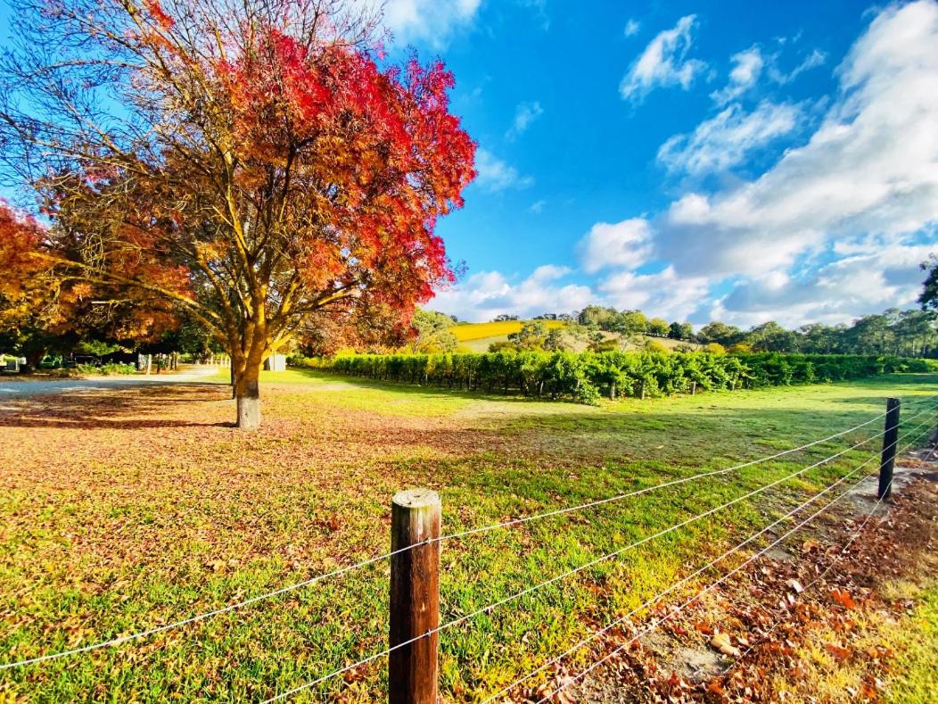 Adelaide Hills Escape