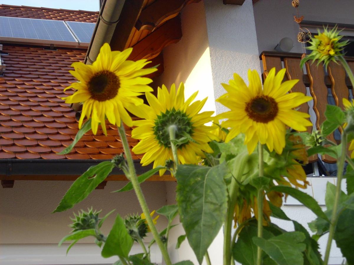 Ferienwohnung Maria Waldblick 95 qm, - Property Image 13