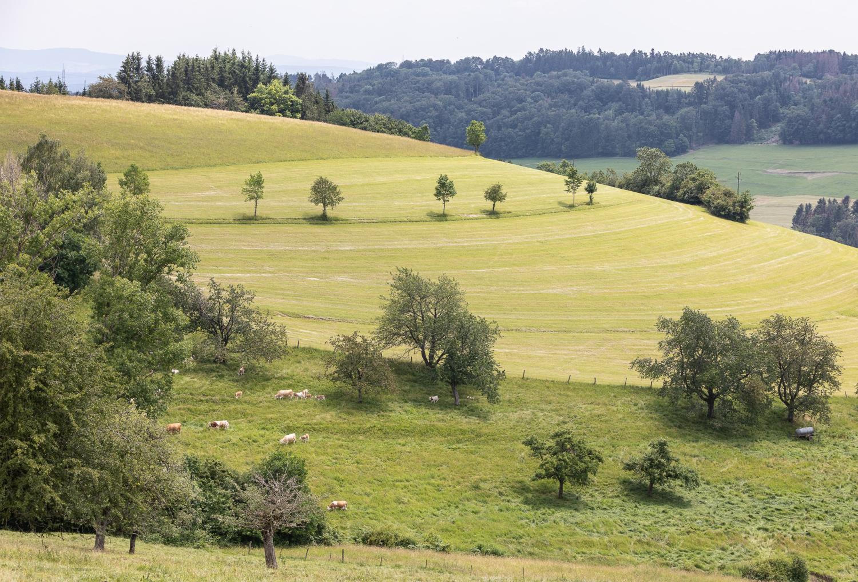 WÄLDER: Quartier Bierbronnen view 5