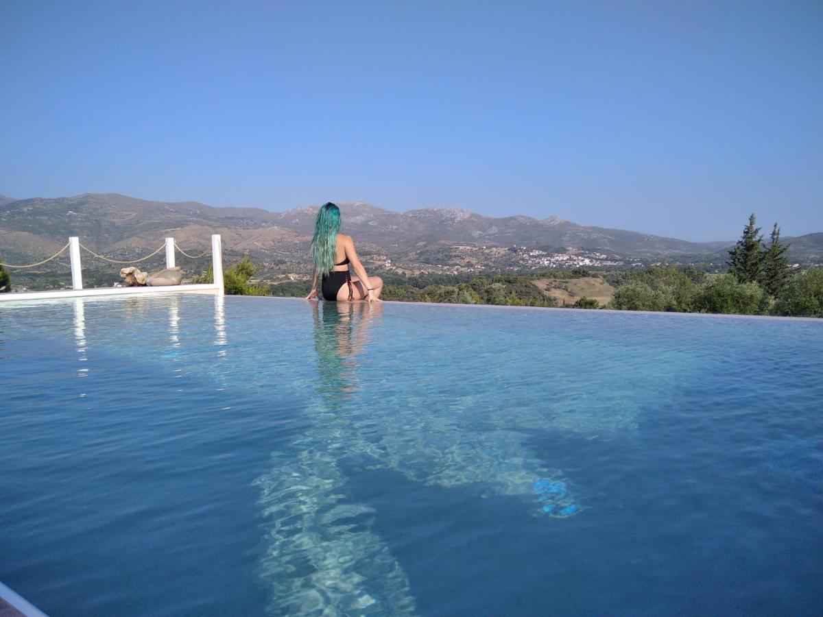 MELILOFOS STUDIO 1 BDR w Pool in Evia island photo 3