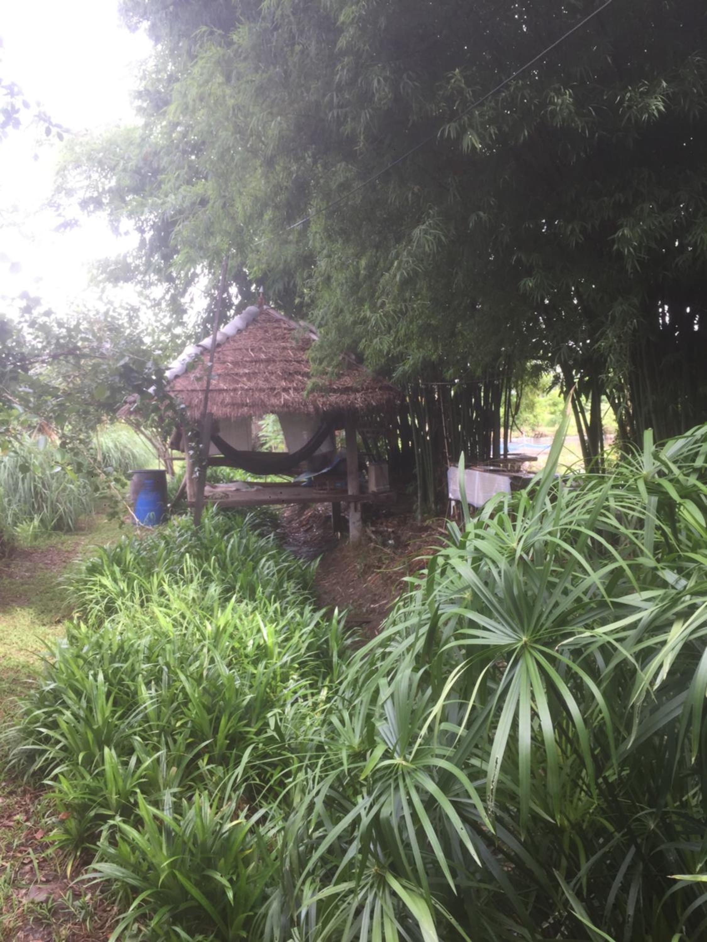Photo 41