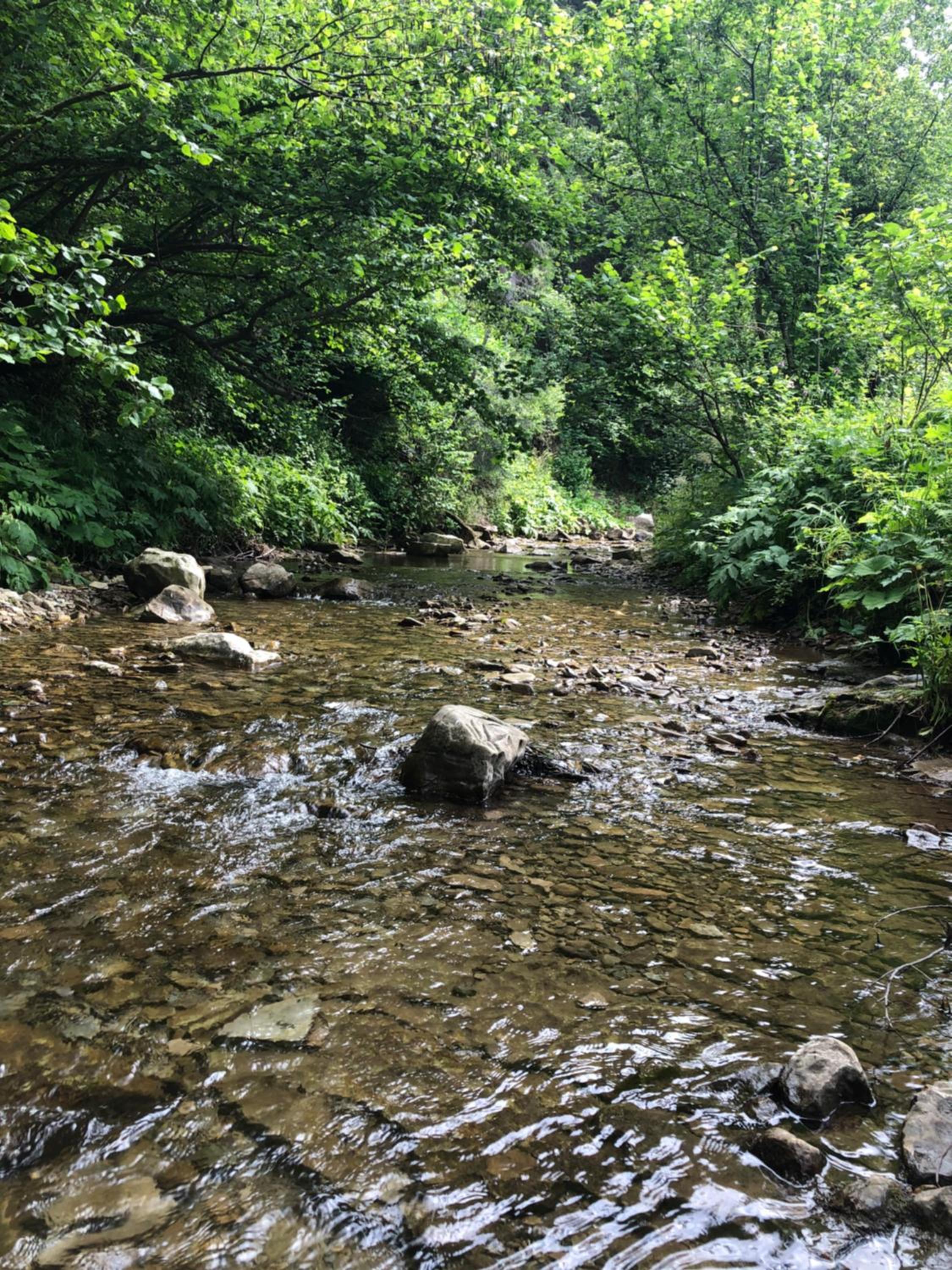Photo 29