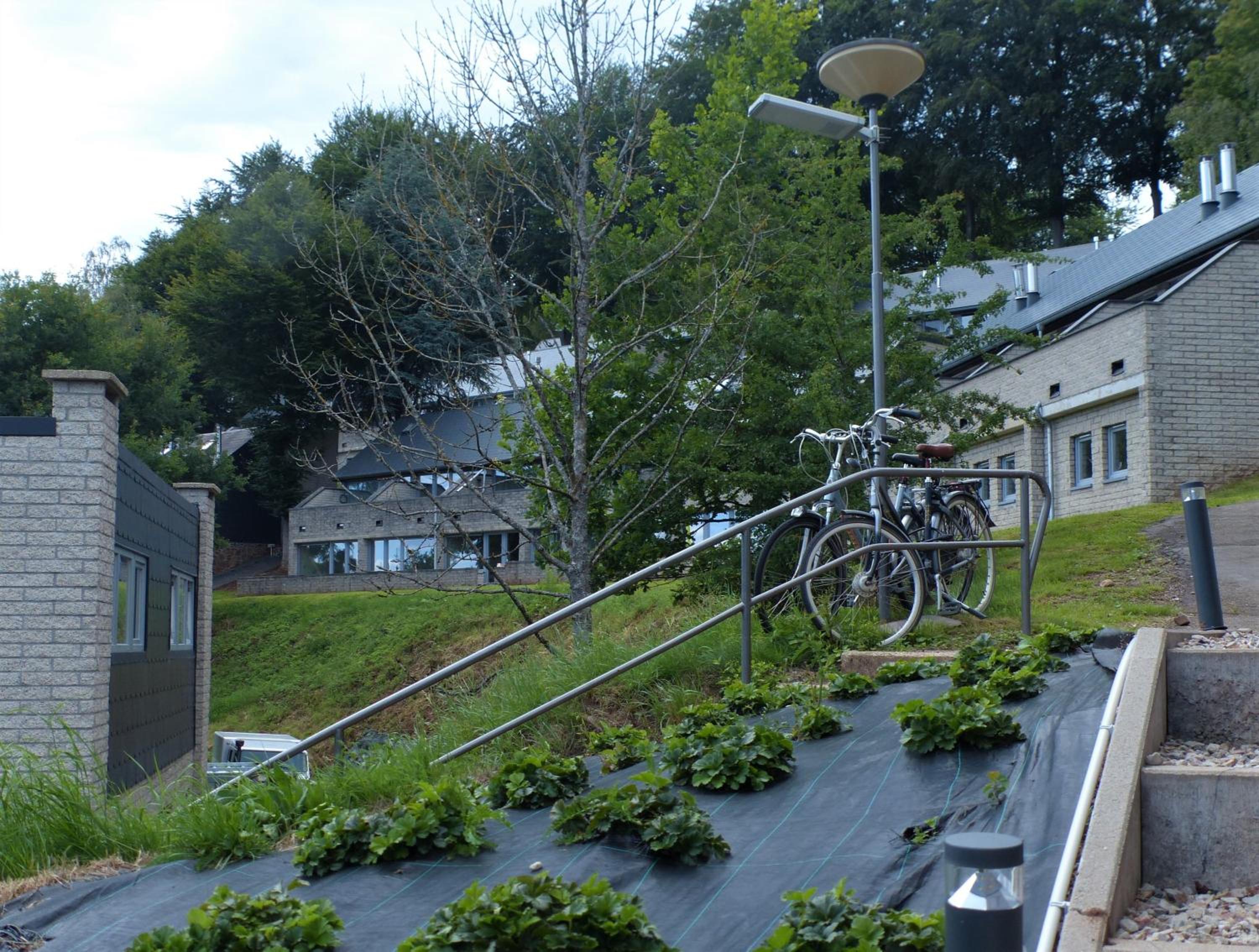 Les terrasses de Malmedy Studio 333 Yellow Grey