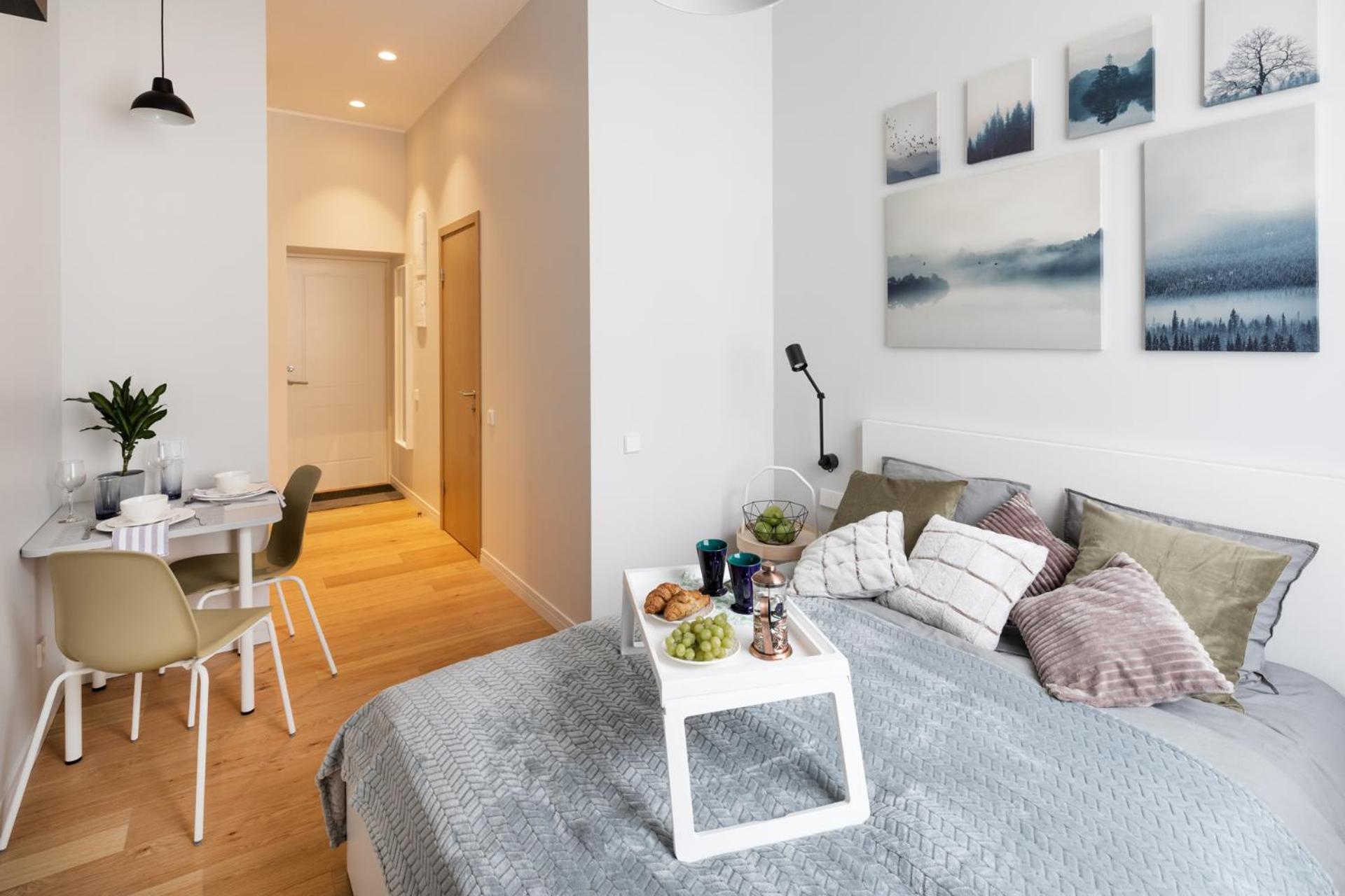 Modern Design Studio Apartment In Riga Center view 5