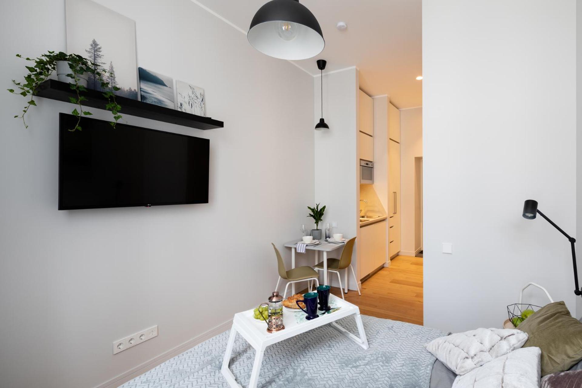 Modern Design Studio Apartment In Riga Center view 4