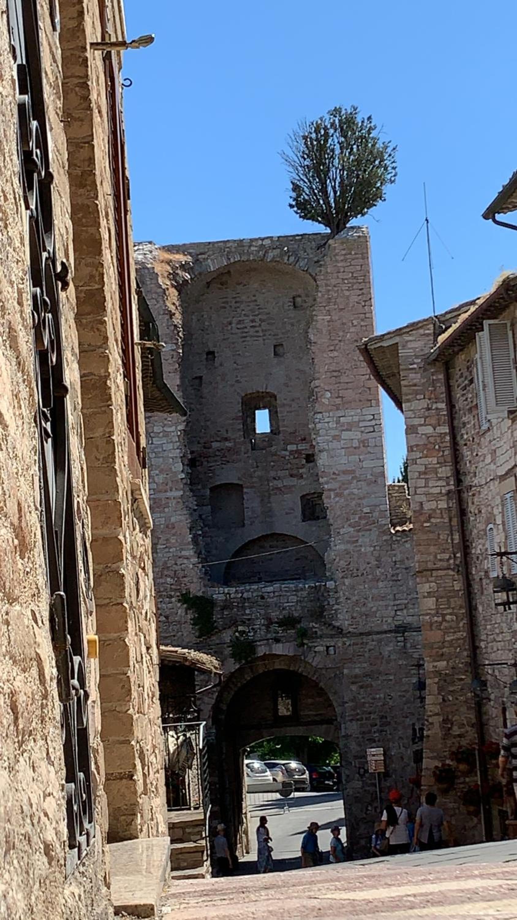 Delizioso Appartamento Francesco House Family view 5