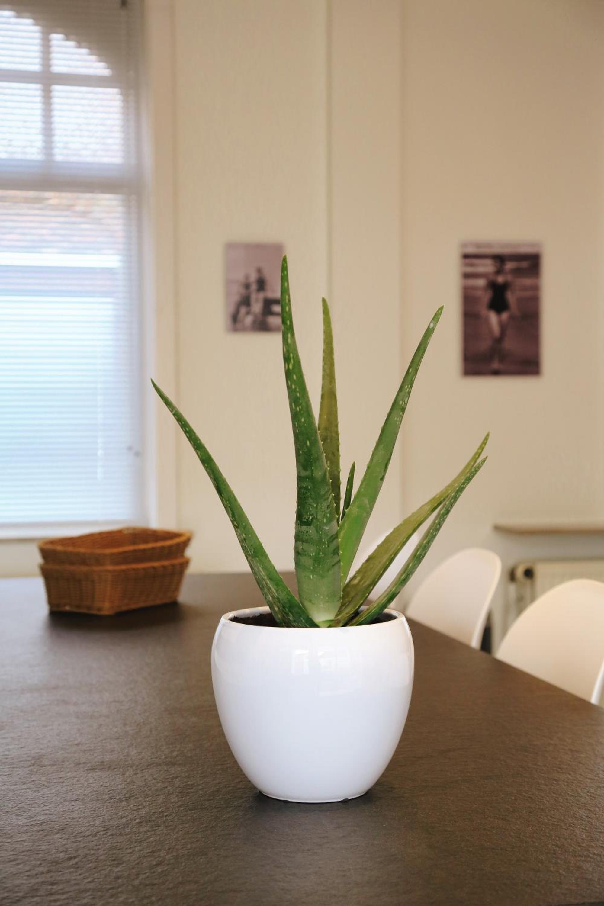 Vakantiewoning Villa Elena