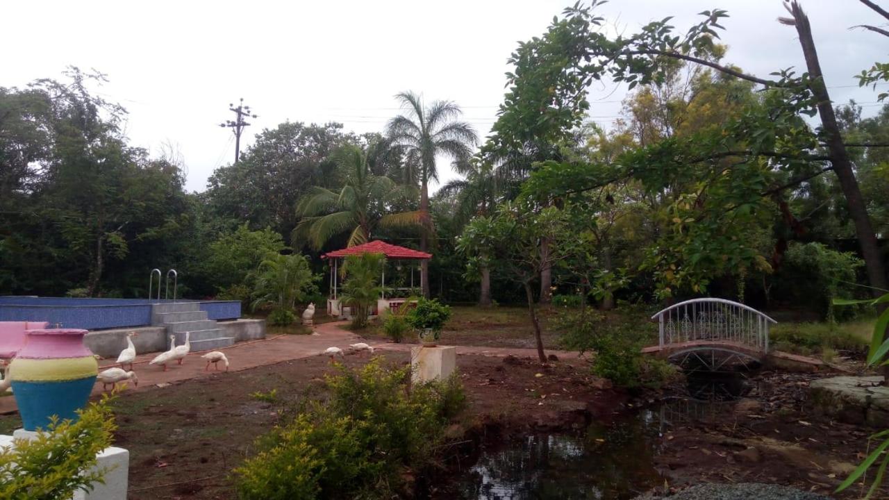Photo 6