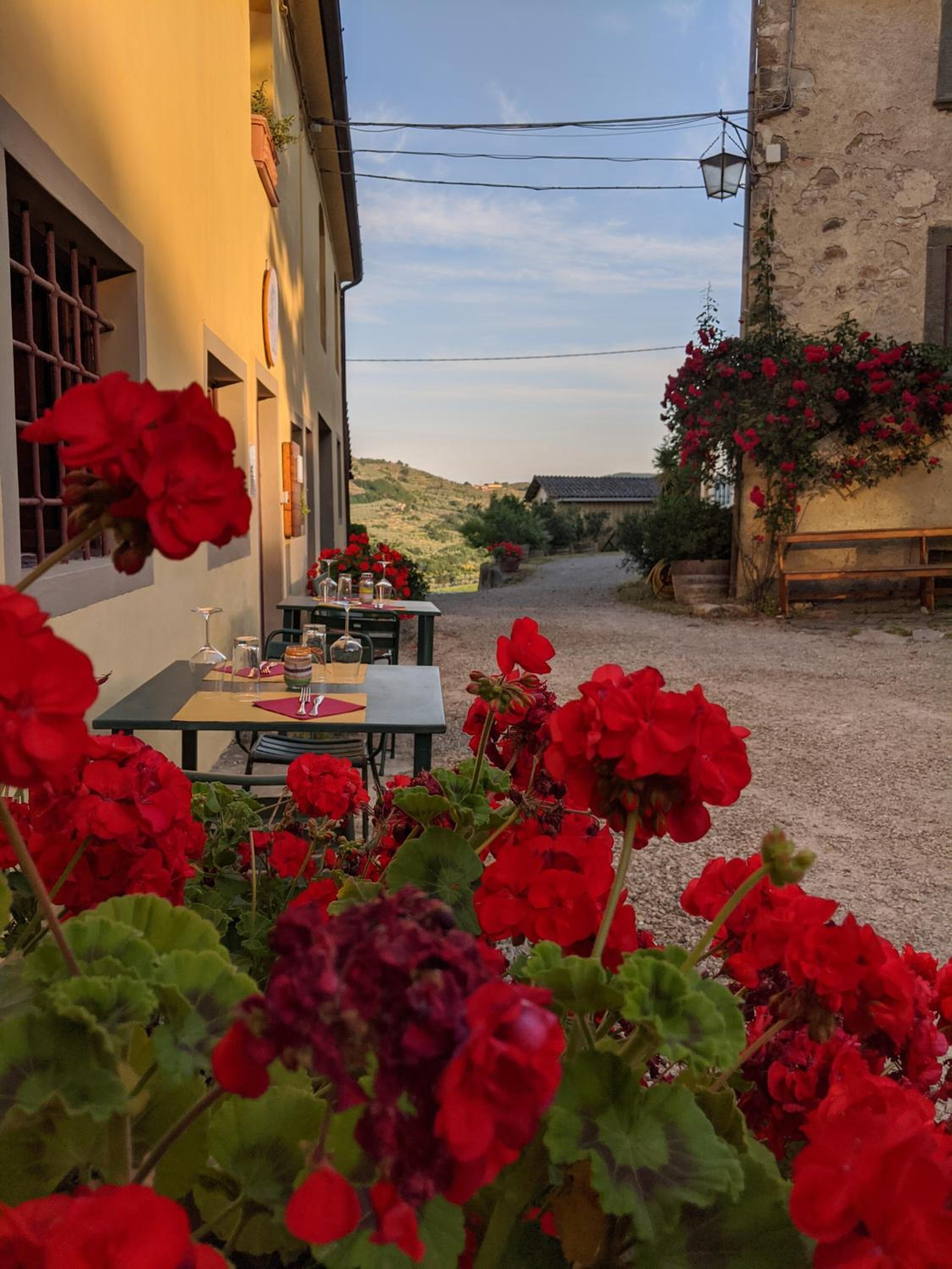 Agriturismo La Fattoria di Capezzana, photo 19