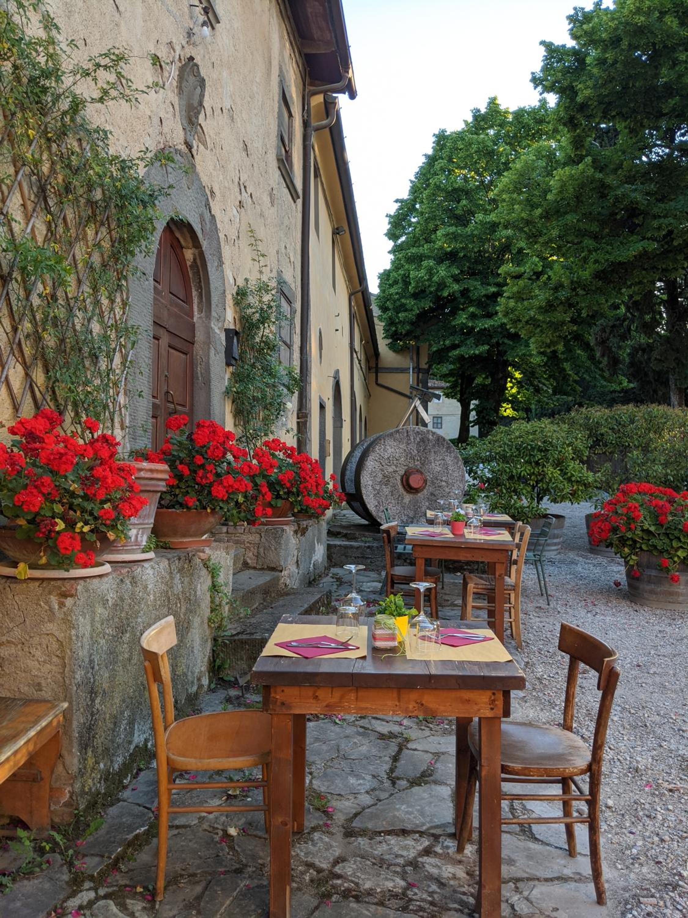 Agriturismo La Fattoria di Capezzana, photo 29