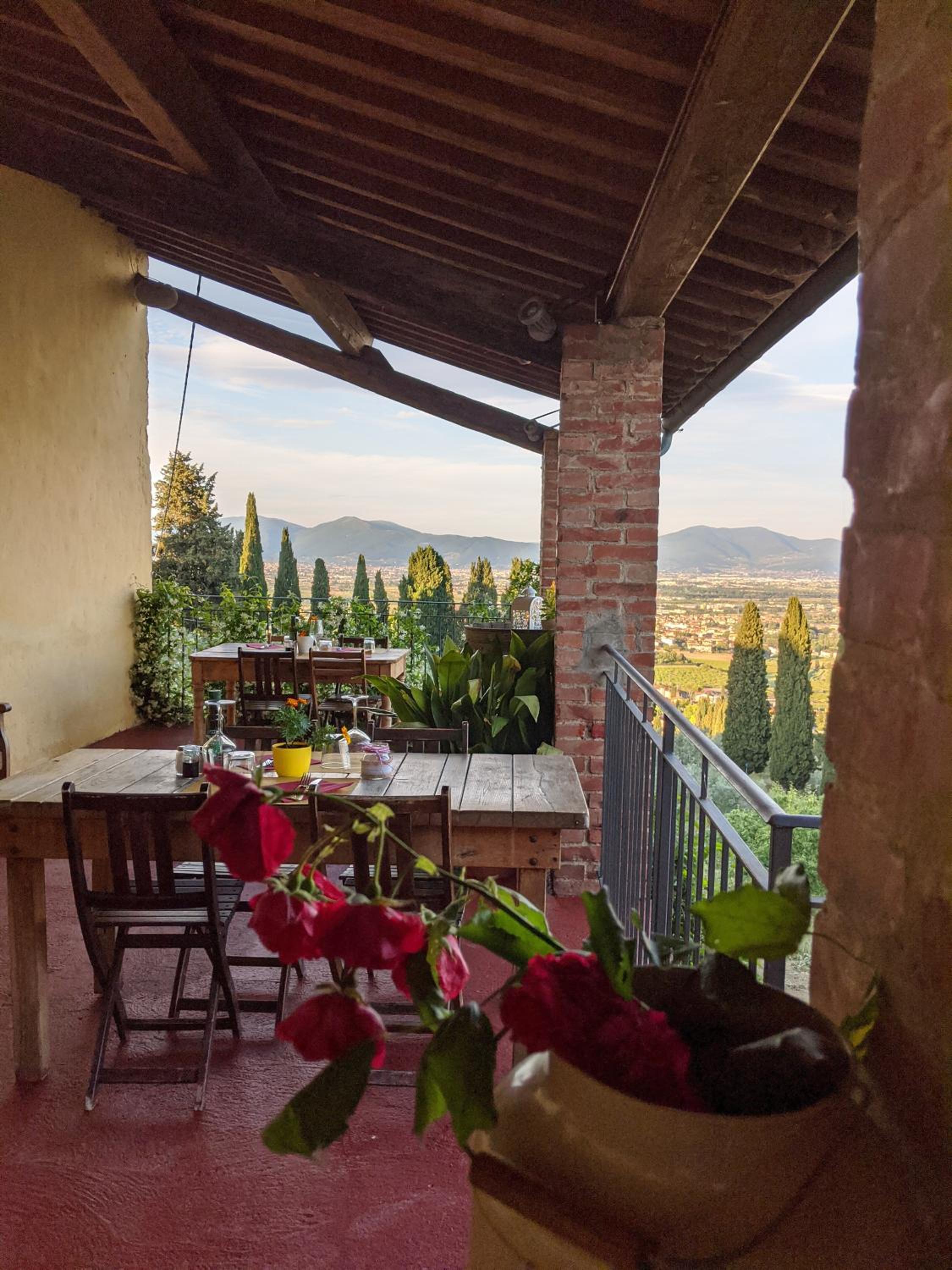 Agriturismo La Fattoria di Capezzana, photo 18