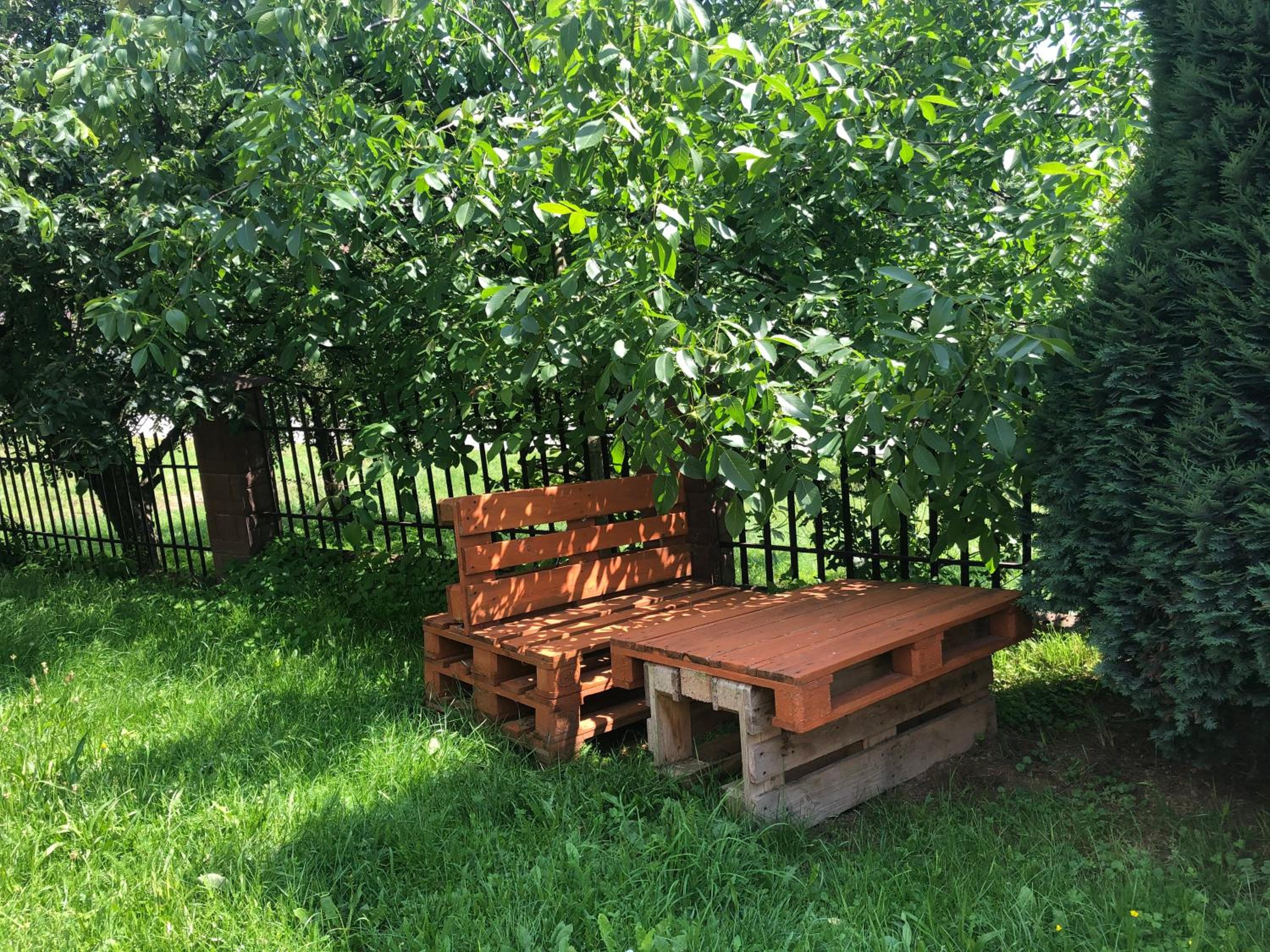 Photo 10
