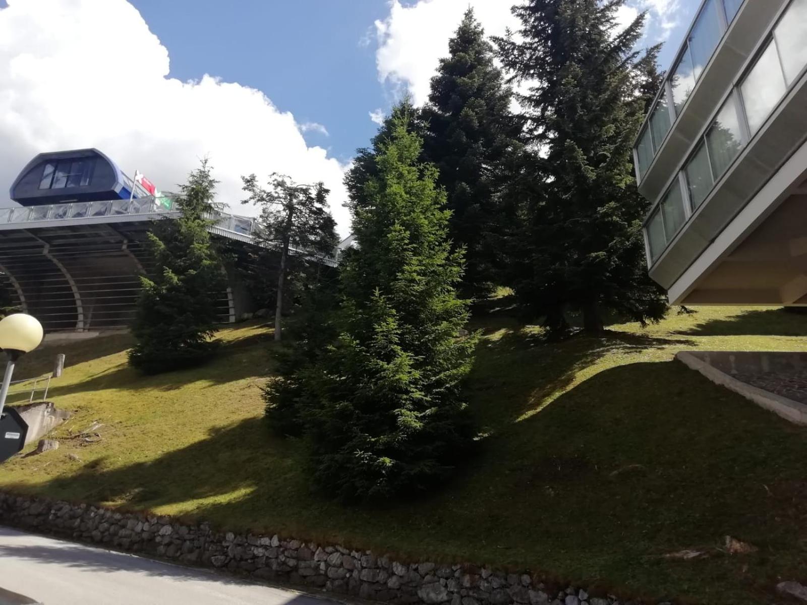 Vetrate sul bosco view 4