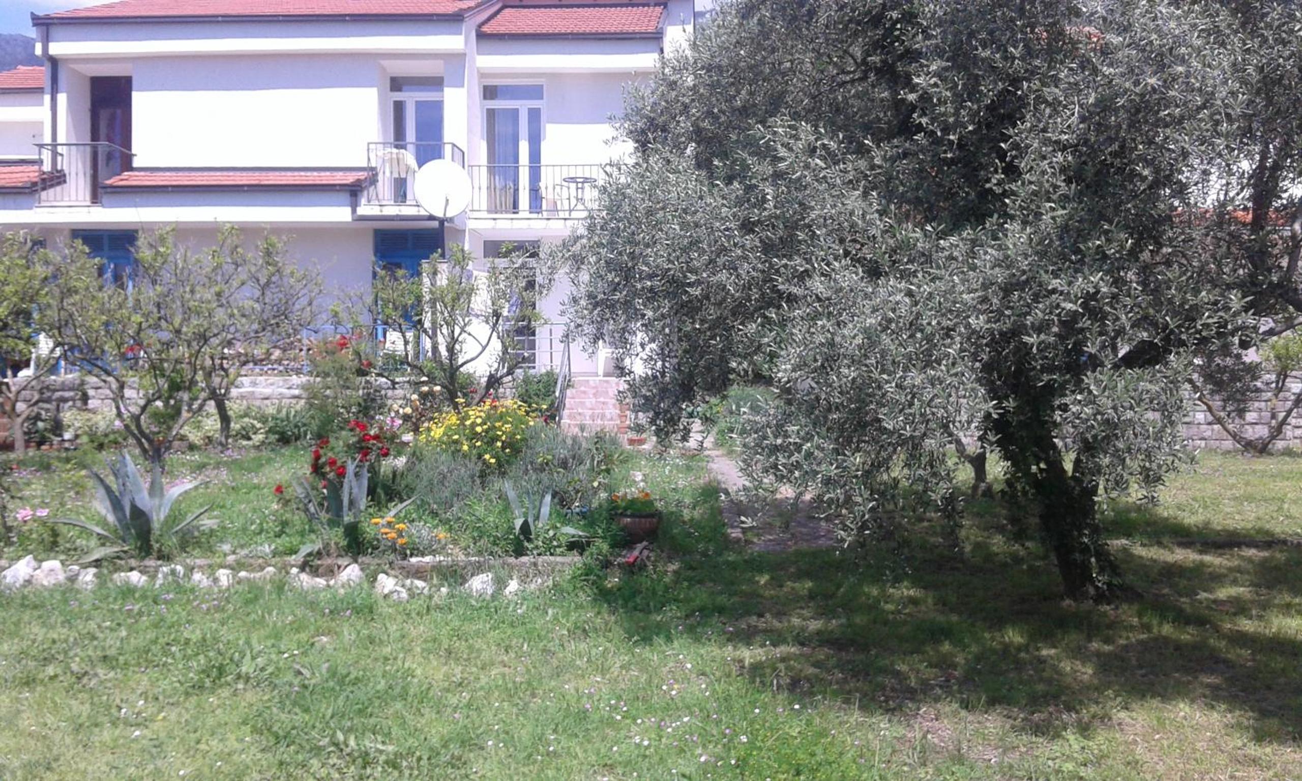 Two bedroom ap in the garden photo 1