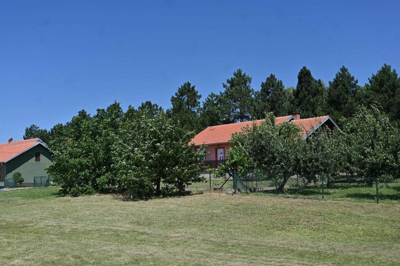 Photo 46