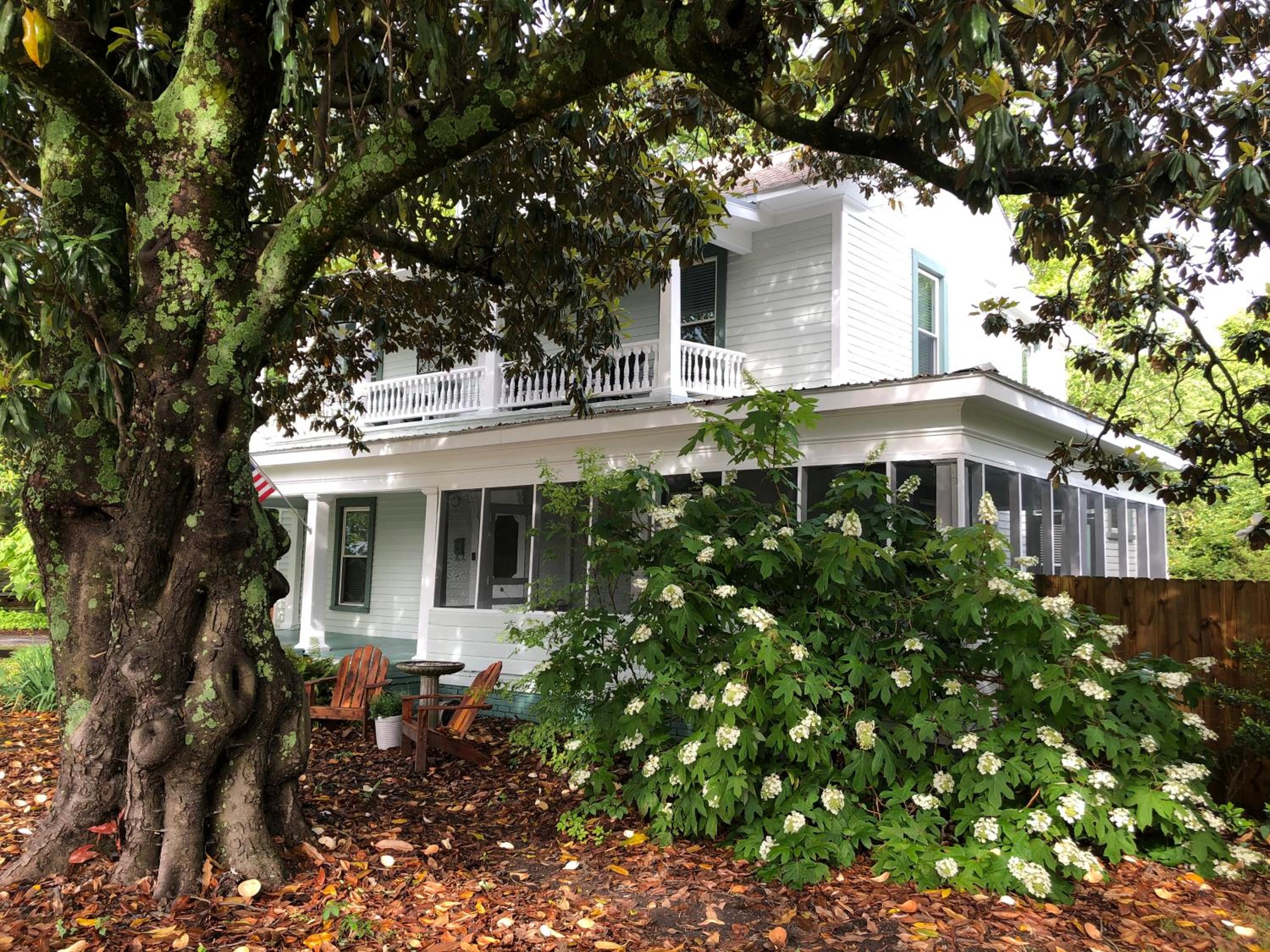 Magnolia House & Gardens B&B view 3