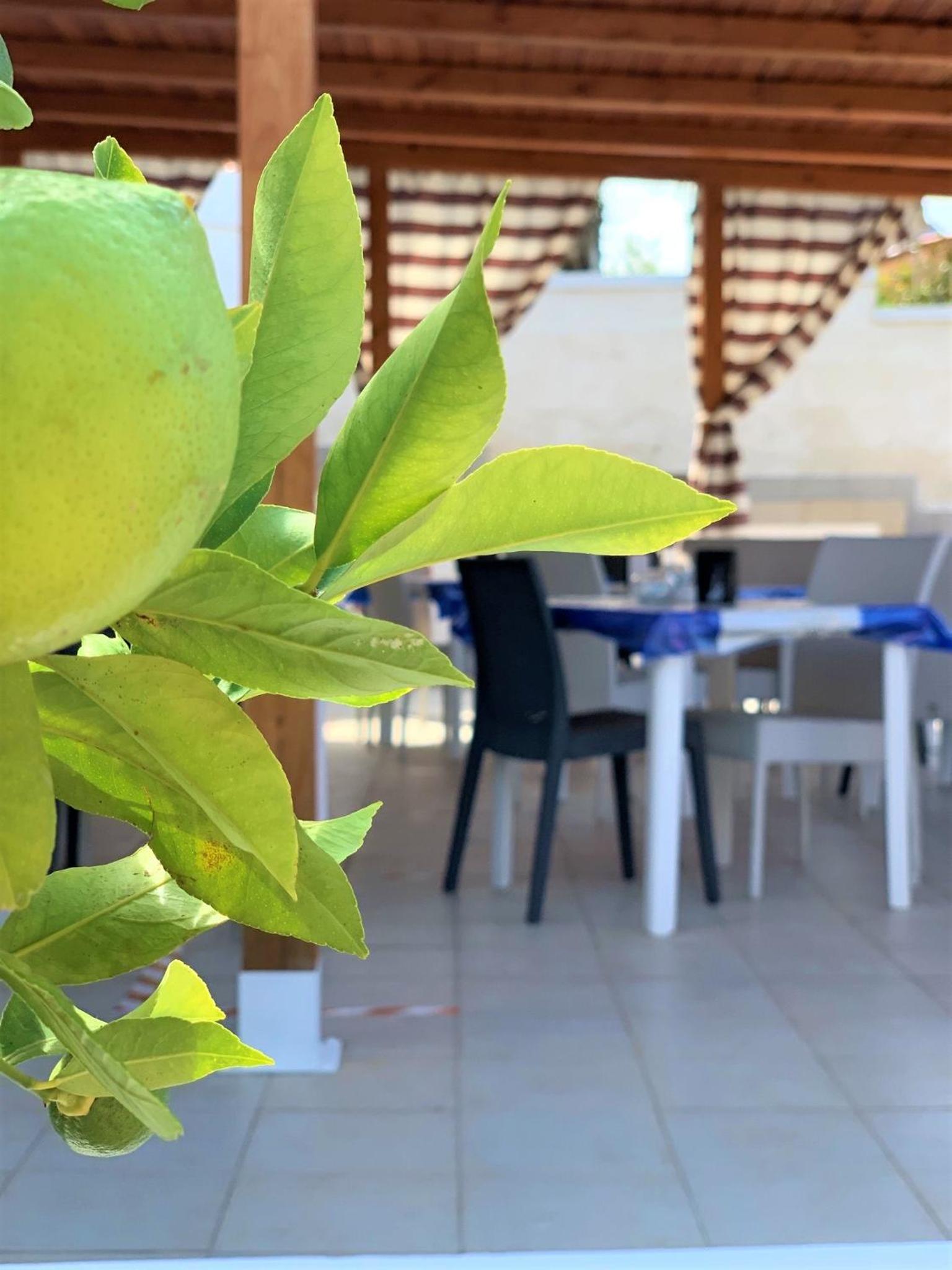 B&B Villa Matari
