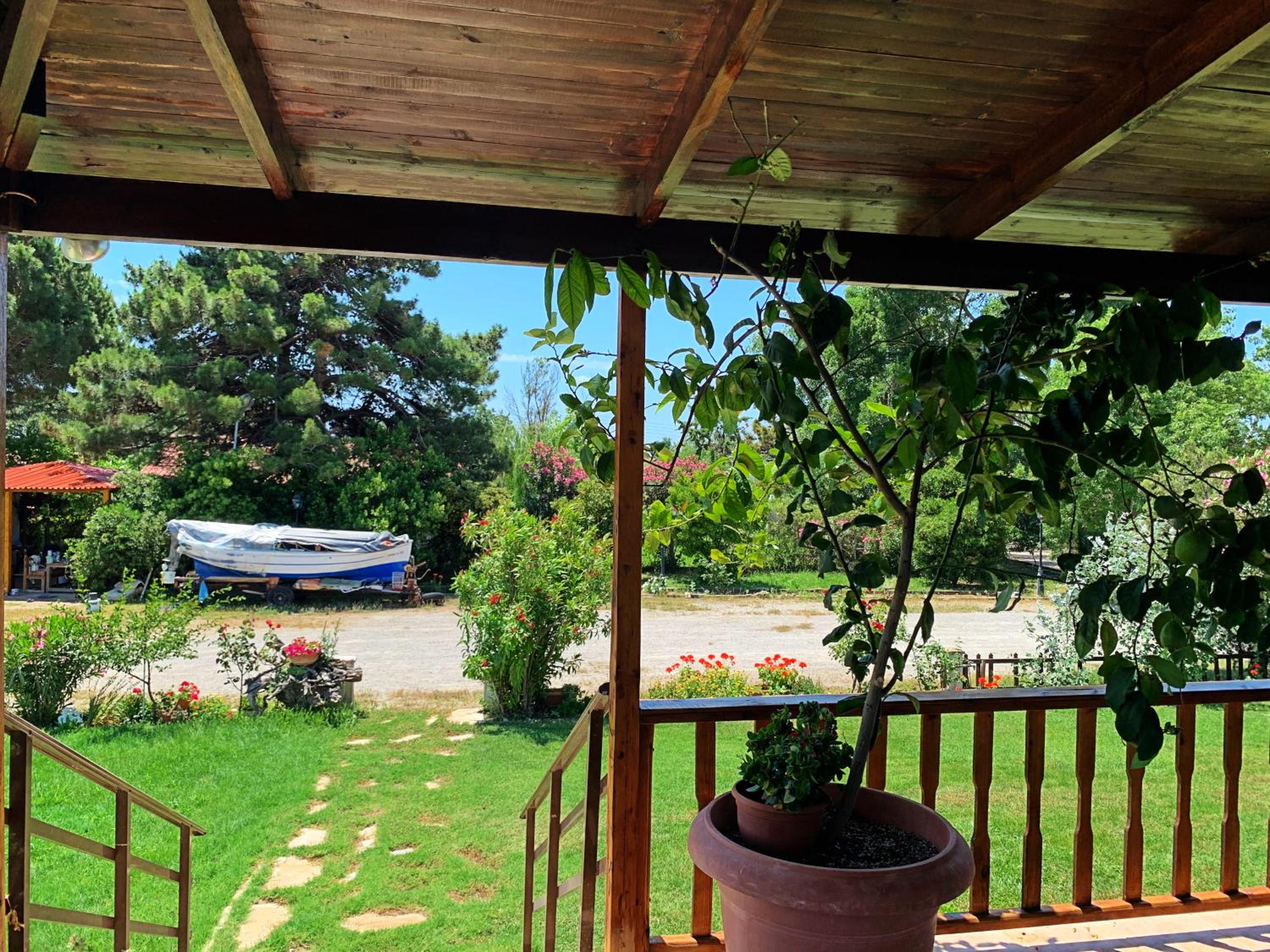 Ivonnis Garden