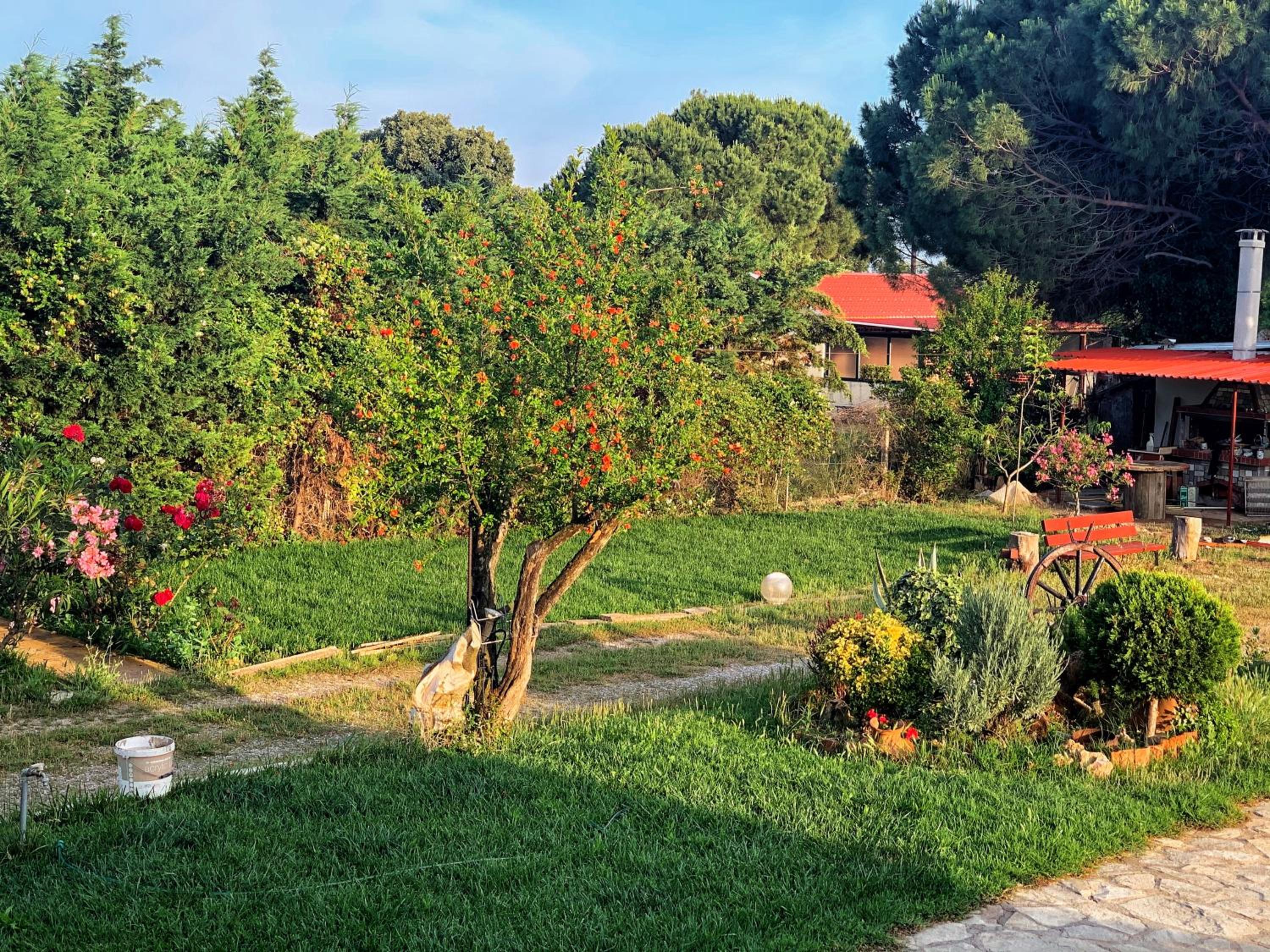 Ivonnis Garden