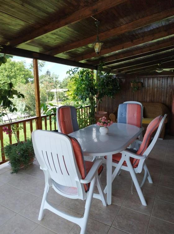 Ivonnis Garden