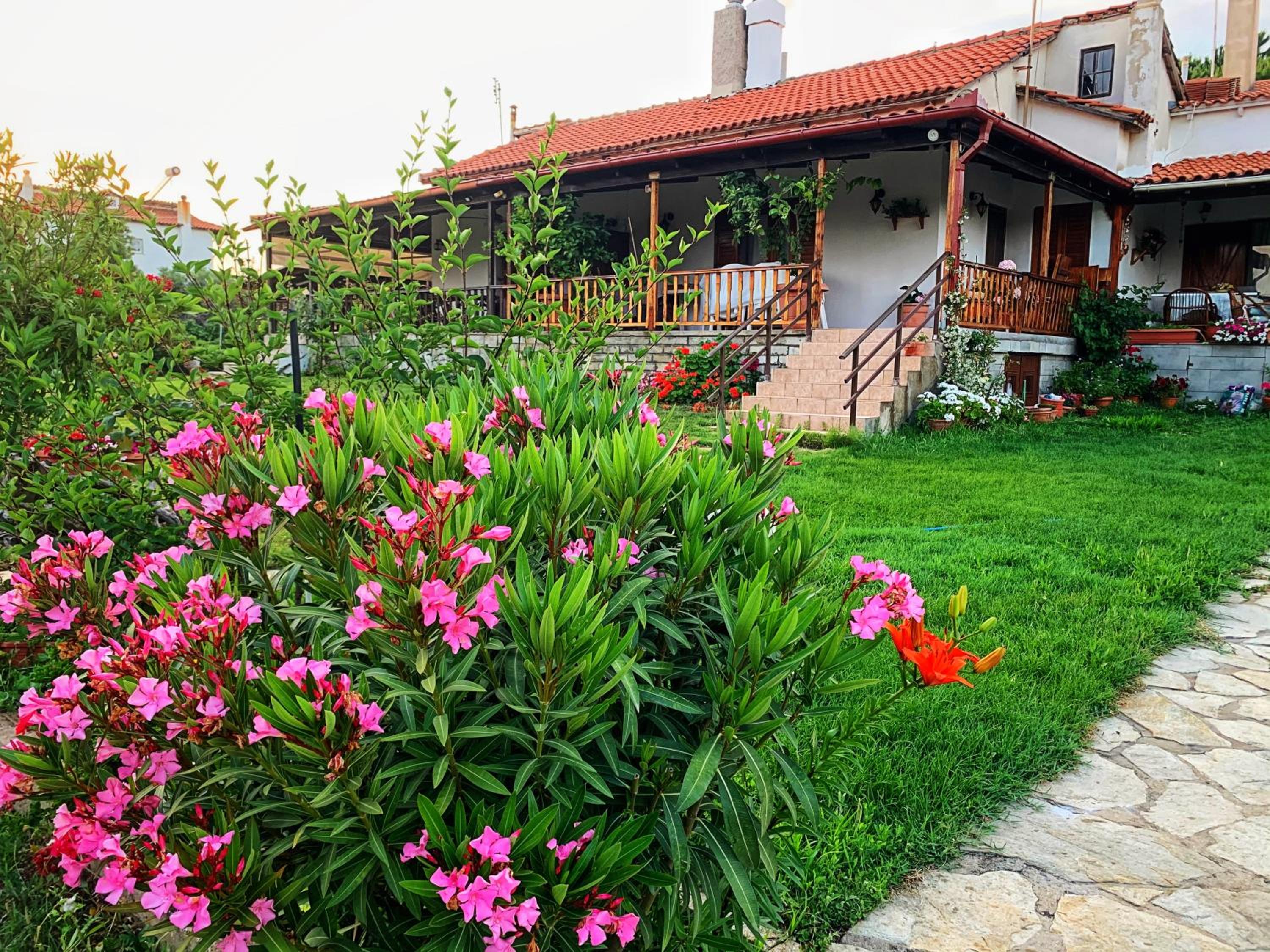 Ivonnis Garden