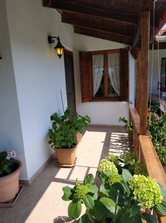 Ivonnis Garden