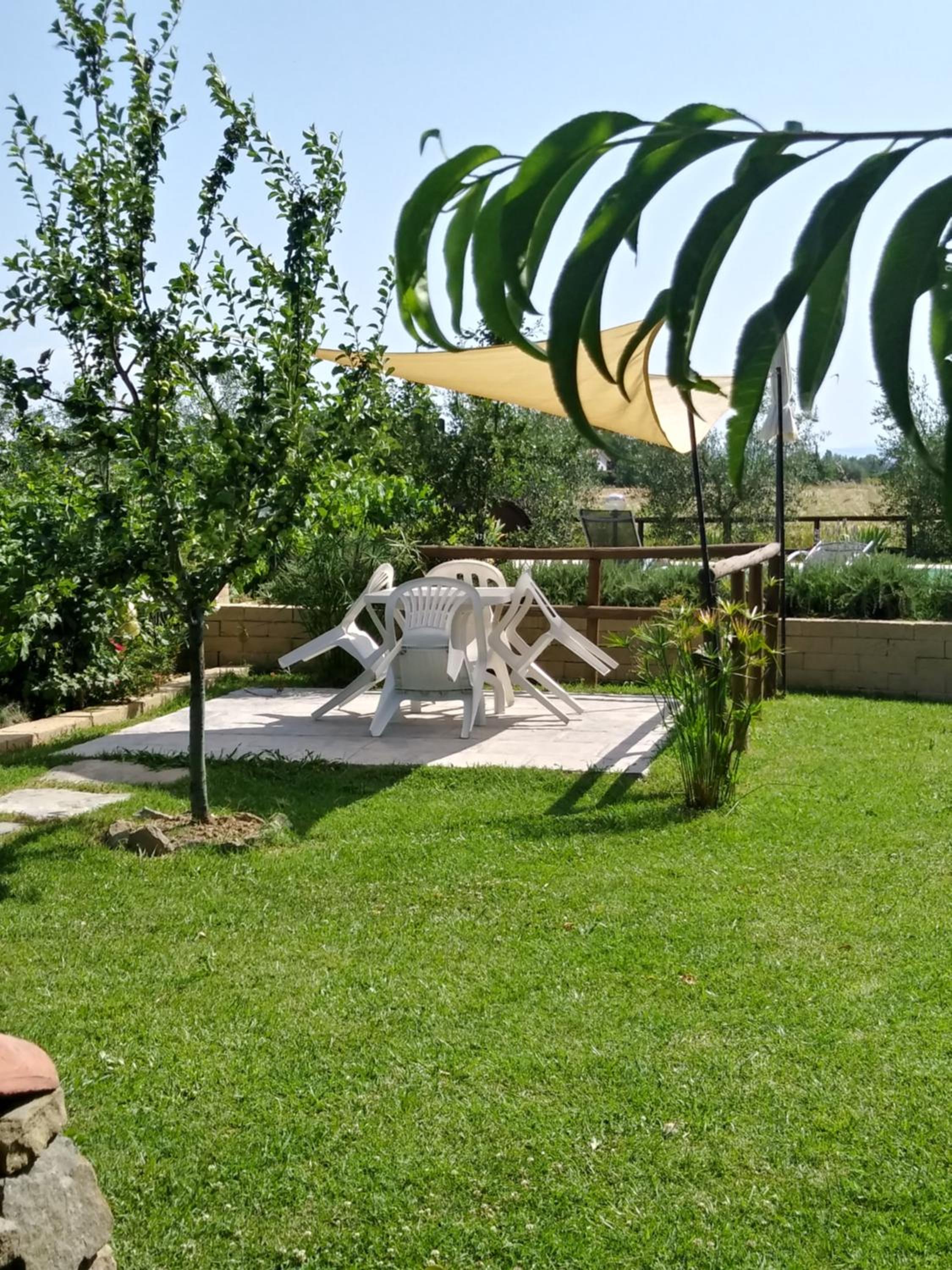 Photo 47